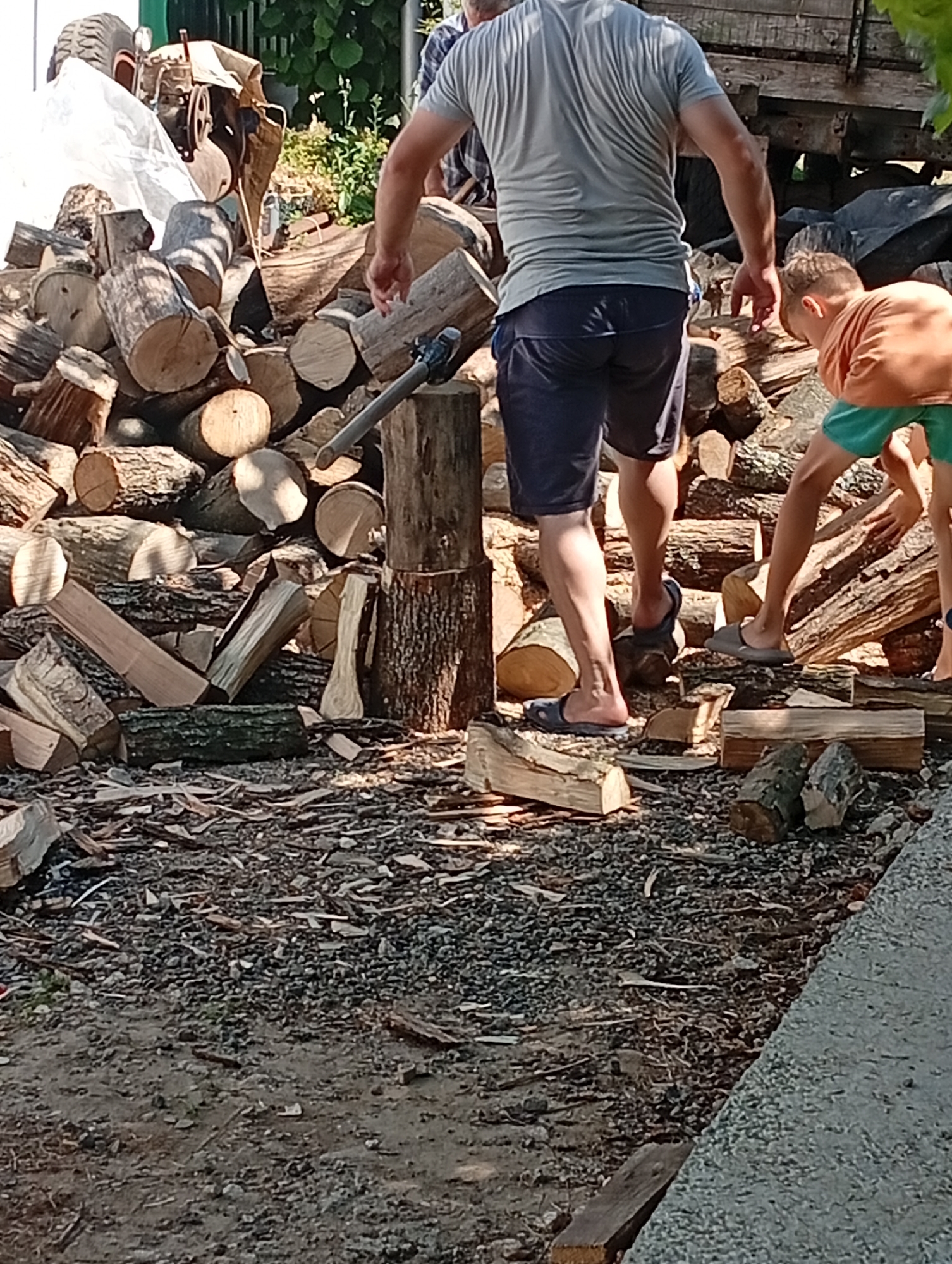 The image depicts an outdoor scene in Pănășești, Moldova, with a focus on a pile of cut logs. Two individuals are partially visible. In the foreground, a man wearing a grey t-shirt and dark shorts is seen from the back, with his legs and feet bare except for dark flip-flops. He appears to be standing near a large log and a tool that resembles an axe or maul. To the right, a young boy in an orange t-shirt and teal shorts is bending down, interacting with the logs. The environment is characterized by a dense accumulation of cut wood, with some logs scattered on the ground. The ground surface is covered in gravel and small debris. In the background, parts of a vehicle or machinery, possibly a tractor, are visible, along with foliage and what appears to be a wooden structure. The lighting suggests it is daytime, with shadows cast on the ground.