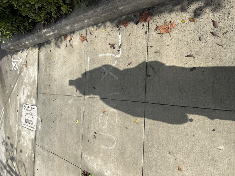 A concrete sidewalk is visible with a shadow cast upon it. The shadow obscures the details of the sidewalk and its imperfections. "USA" with an arrow, "TX1" and "SO" are marked on the sidewalk in white chalk. Several leaves are scattered across the surface. A rectangular utility cover sits on one of the concrete slabs. Greenery lines the edge of the sidewalk.