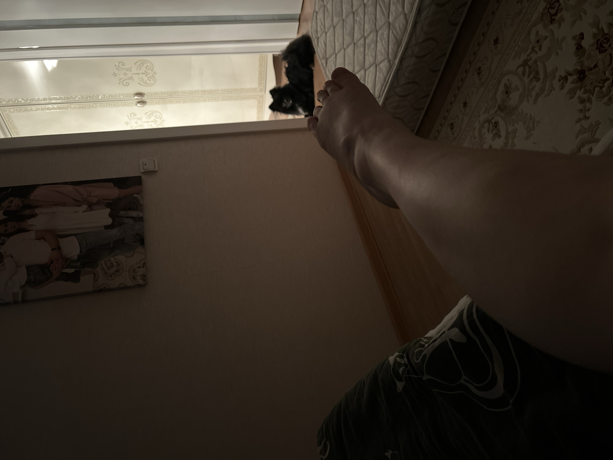 The image captures an indoor residential scene in Chaikovsky, Russia, from a low-angle, first-person perspective. In the immediate foreground, a bare human left leg and foot are prominently displayed, extending from the lower-left toward the center-right. A dark, patterned blanket or sheet is partially visible beneath the leg in the lower-left corner. To the right of the leg, a single mattress, featuring a quilted white top with minor wear, rests directly on the floor. The floor itself is composed of light-toned wood or laminate on the left, transitioning to a light-colored rug with ornate floral and scrollwork patterns on the right.
The left wall, appearing to be a solid light color, displays a framed photograph depicting multiple individuals, including an adult male holding a child and at least two adult females. Below this photograph, a white, rectangular electrical switch is mounted on the wall. An open doorway on the right side of the frame provides a view into an adjacent room. This second room is brightly lit in contrast to the darker foreground space. Within the adjacent room, a small black dog with visible white markings on its chest is lying on the floor, facing towards the viewer. The walls of this background room are light-colored, featuring decorative vertical trim and what appears to be an ornate, light-colored wardrobe or cabinet with patterned doors. Illumination for the scene primarily originates from this brightly lit adjacent room, casting the foreground into relative dimness.