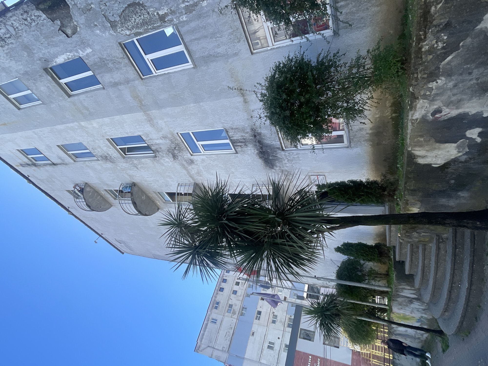 The image captures a scene in Batumi, Georgia, featuring a weathered, light-grey building with several rectangular windows. The windows have white frames and blue glass. The building has some discoloration, and it appears to be old with deteriorating paint. A palm tree with dark green foliage is in the foreground, partially obscuring the view of another building in the distance. The distant building is also light-colored, has a similar architectural style with many windows, and appears to be multi-story. The sky is a clear blue. A set of stone steps or tiered seating is visible on the right, with green vegetation and a dark-colored sidewalk. A person is walking along the sidewalk, wearing a dark jacket and light-colored shoes.