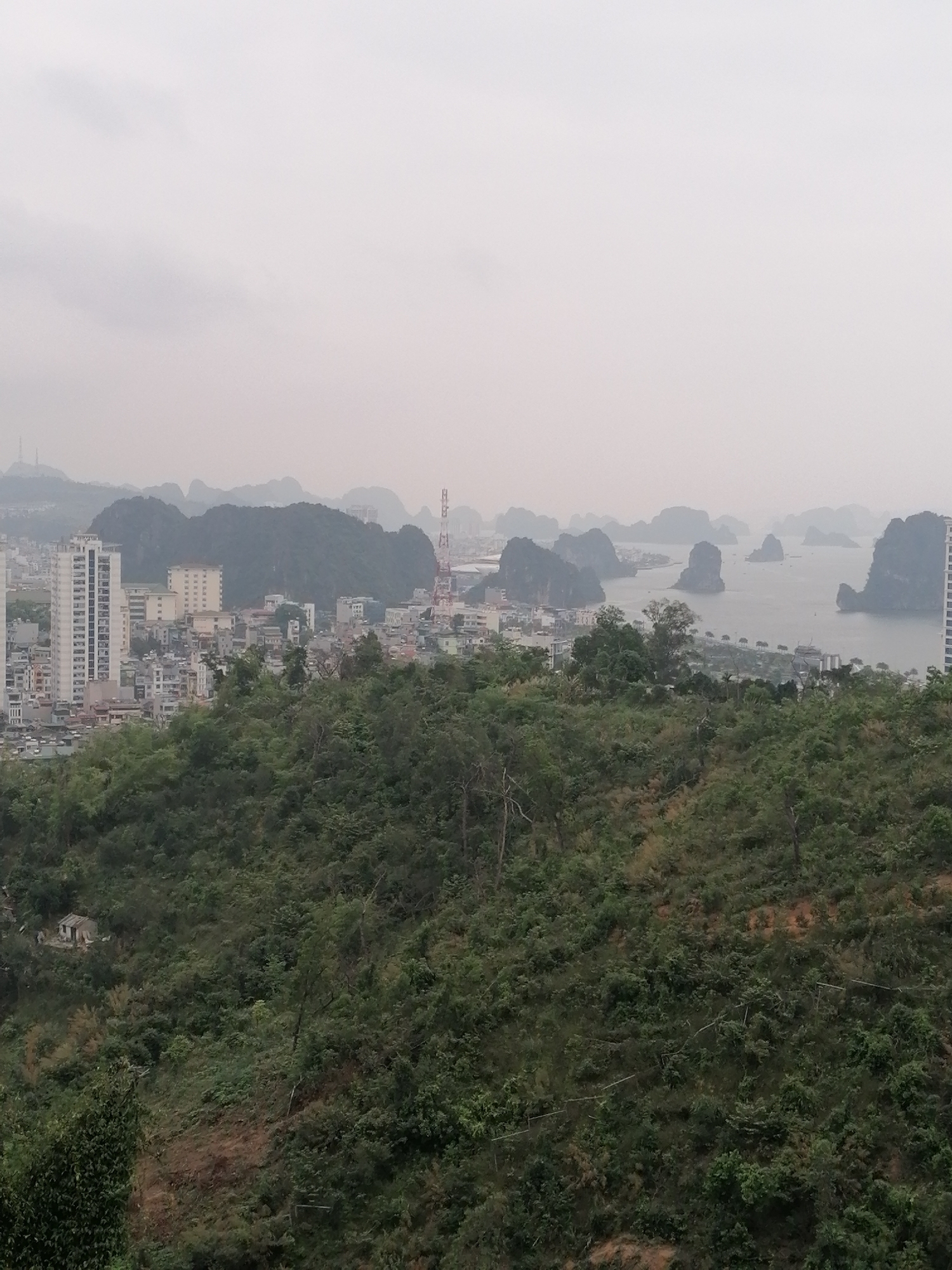 The image captures an expansive, elevated view overlooking Hong Gai Ward, Vietnam, showcasing a blend of urban development and natural landscapes under an overcast sky.
In the immediate foreground, a steep hillside densely covered with lush green foliage dominates the lower portion of the frame. Patches of reddish-brown earth are visible where vegetation is sparser. Tucked away on this hillside, towards the bottom-left, a small, isolated, light-colored structure, possibly a house or shack, can be seen amidst the trees.
The midground reveals a bustling cityscape with a mix of modern and older buildings. Several tall, multi-story white apartment blocks stand out, alongside numerous smaller residential and commercial structures. Rolling green hills rise behind the city, partially obscured by the hazy atmosphere. A prominent red-and-white lattice tower, likely a communication mast, is visible in the urban area, standing tall above other buildings.
Further in the background, a large body of water, characteristic of Ha Long Bay, stretches out. It is dotted with numerous iconic limestone karsts, varying in size and shape, creating a dramatic natural panorama. A shoreline with what appears to be a promenade or port facilities runs along the water's edge, connecting the city to the bay. Another tall building is partially visible on the far right, bordering the water.
The sky is uniformly light gray and overcast, diffusing the light and contributing to an overall hazy or foggy atmosphere that softens the outlines of distant features. No people or specific activities are discernible, and there is no visible text in the image. The time of day appears to be daytime, though the heavy cloud cover prevents strong shadows or clear sunlight.