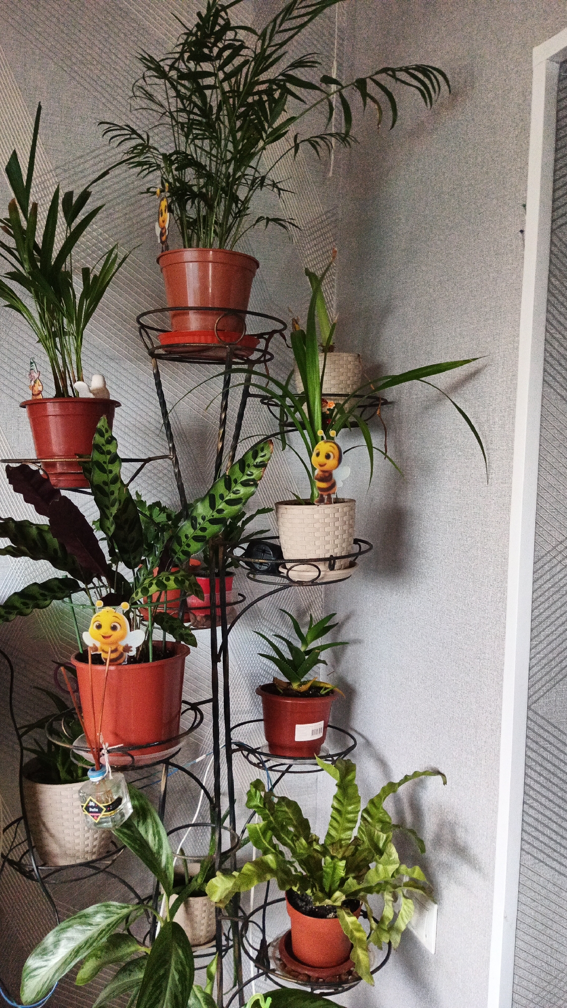 This is a medium shot, interior photograph taken in Kryvyi Rih, Ukraine, depicting a collection of houseplants arranged on a multi-tiered black metal plant stand. The background is a textured gray wall with a subtle diagonal pattern, and a sliver of a white door frame is visible on the right. The lighting suggests it is daytime, but there are no direct light sources visible, indicating ambient indoor lighting.
The plant stand holds approximately eight potted plants of various sizes and species. The plants have lush green foliage, with some featuring distinctive patterns on their leaves. Several of the pots are made of terracotta, while others are lighter-colored, possibly ceramic or wicker-textured.
Notable decorative elements include small, cartoon-like figurines. On the top left plant, a small figure resembling a gnome or fairy is visible. On the top right and middle right plants, there are two identical figurines of a smiling bee with yellow and black stripes and small wings. On the bottom left plant, a small glass bottle with a dark liquid and a label hangs from the pot.
One plant on the lower left has broad, variegated leaves with silvery-green patterns. To its right, a plant with ruffled, serrated green leaves is positioned. Above these, a plant with a cat-like pattern on its leaves is prominent. The top shelf features a tall, bushy palm-like plant and another thinner-leafed plant.
The scene conveys a sense of domestic tranquility and a passion for indoor gardening. There is no visible text in the image besides a small white label on one of the pots on the middle right shelf, which is too blurry to read.