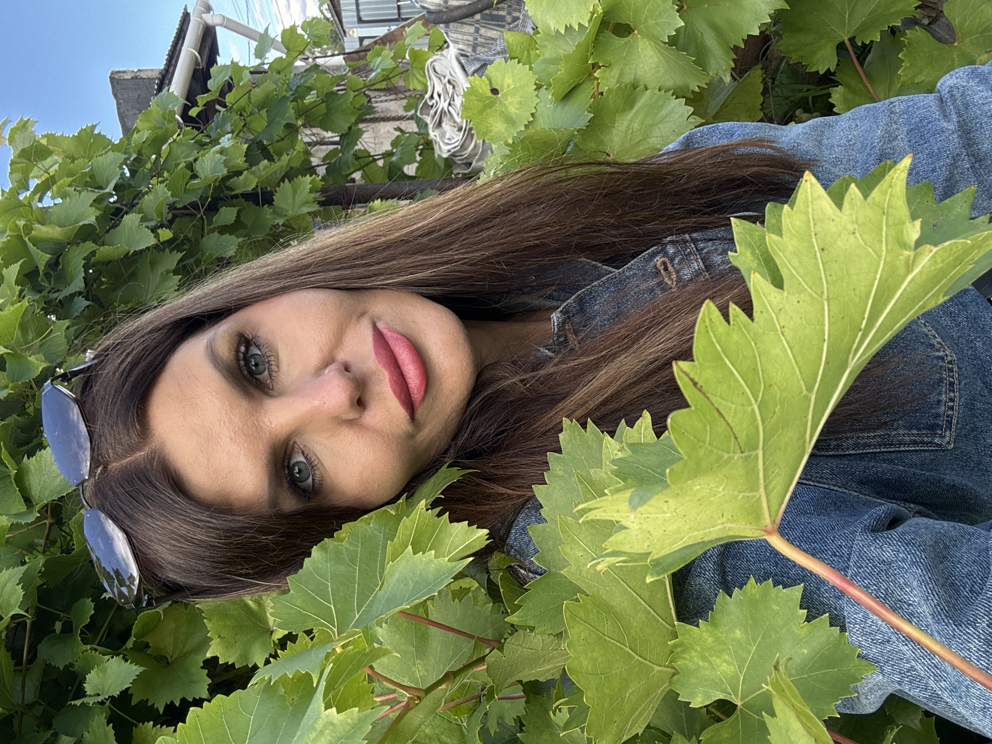 A woman with long, brown hair and blue eyes, wearing sunglasses perched on her head and a denim jacket, is partially obscured by lush green grape leaves. She is looking towards the camera with a slight smile. The background shows a rustic setting with a building and a fence under a clear blue sky. The scene appears to be outdoors, possibly in a yard or garden, in Dubovaya, Russia.