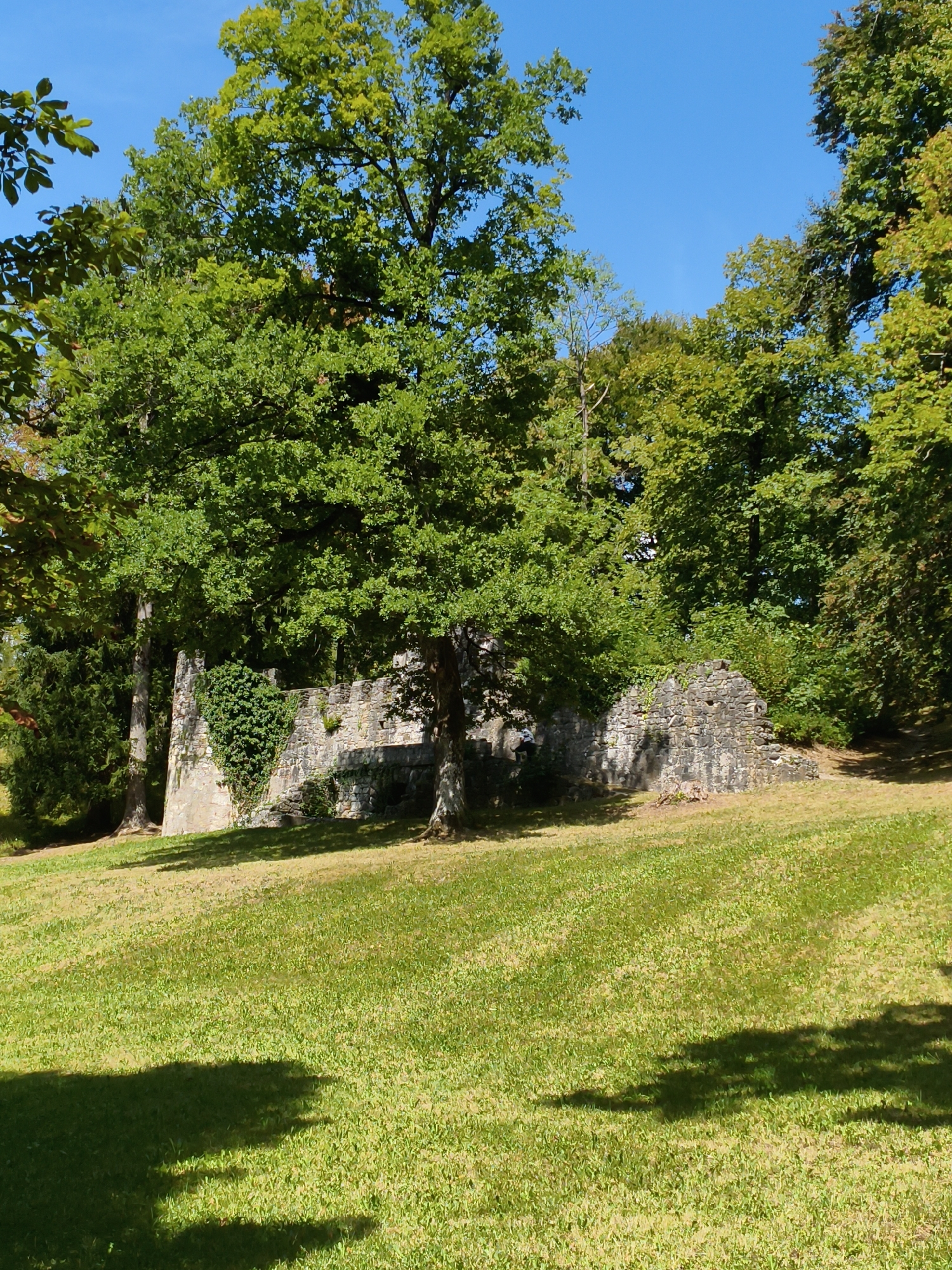 This image depicts a sunny outdoor scene with a grassy slope in the foreground and ruins of a stone structure partially covered by ivy in the background, set against a backdrop of lush green trees and a clear blue sky. The ruins appear to be old, with weathered stones and a partial wall. Shadows of tree branches are cast across the lawn, indicating a bright, sunny day. The scene is likely a park or historical site. The ruins are consistent with parts of the High Castle (Hohes Schloss) in Füssen, Germany, which is known for its preserved medieval architecture and surrounding gardens.