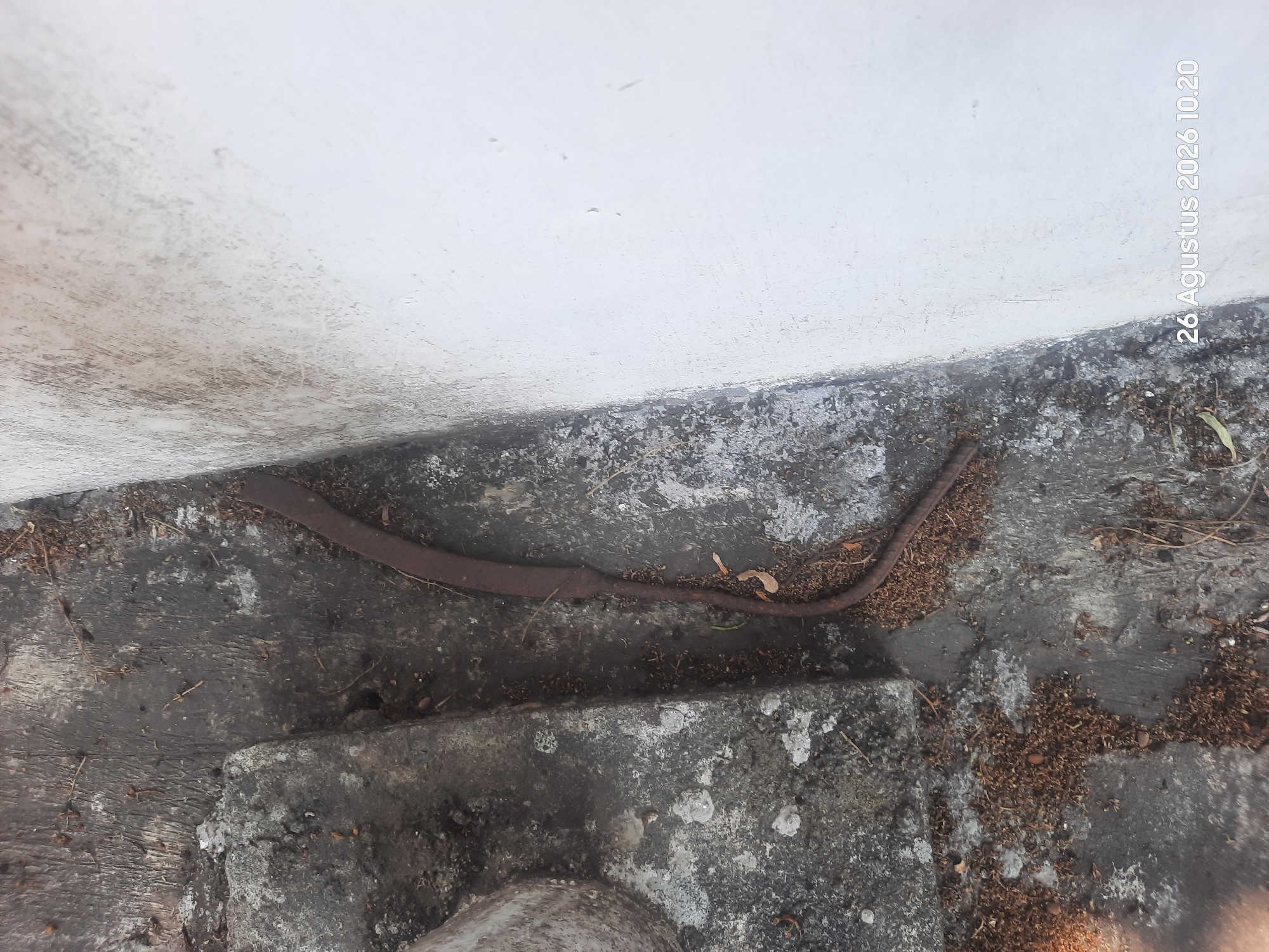 The image shows a ground-level view of a weathered, grey concrete surface adjacent to a white wall. A rusty, curved metal object lies on the concrete, partially obscured by debris, possibly leaves and dirt. The overall scene suggests an outdoor, possibly neglected, area. The timestamp "26 Agustus 2026 10.20" indicates the photograph was taken in Gending, Indonesia. No people are visible in the image.