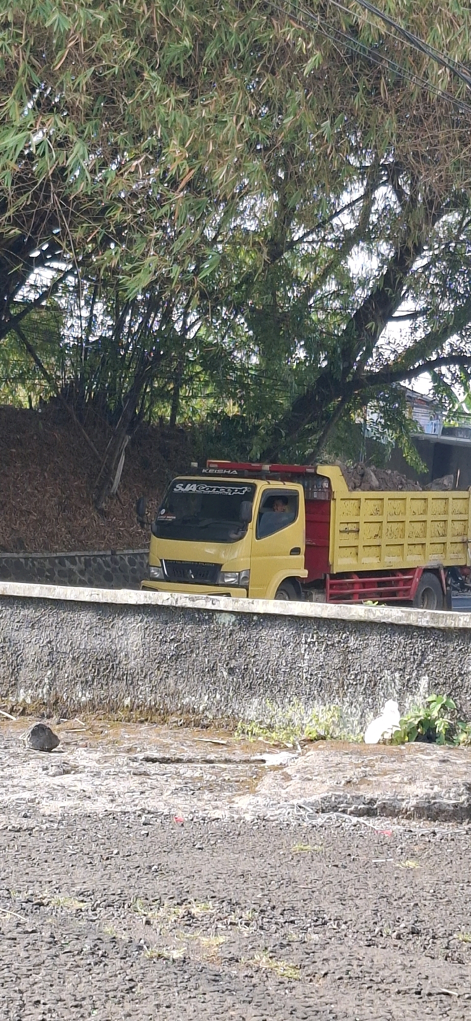 In Cilaku, Indonesia, a yellow dump truck with a red bed and red chassis is captured mid-action. The truck is carrying a load of rocks and is driving on a paved road that runs parallel to a low, concrete barrier. Beyond the barrier, the ground appears to be a mix of gravel and dirt, with some sparse vegetation. In the background, a dense bamboo grove frames the scene, with sunlight filtering through its leaves. A person is visible inside the driver's cabin of the truck, looking towards the right. The truck has decals on its windshield that read "SJA Concept" and "KEISHA".