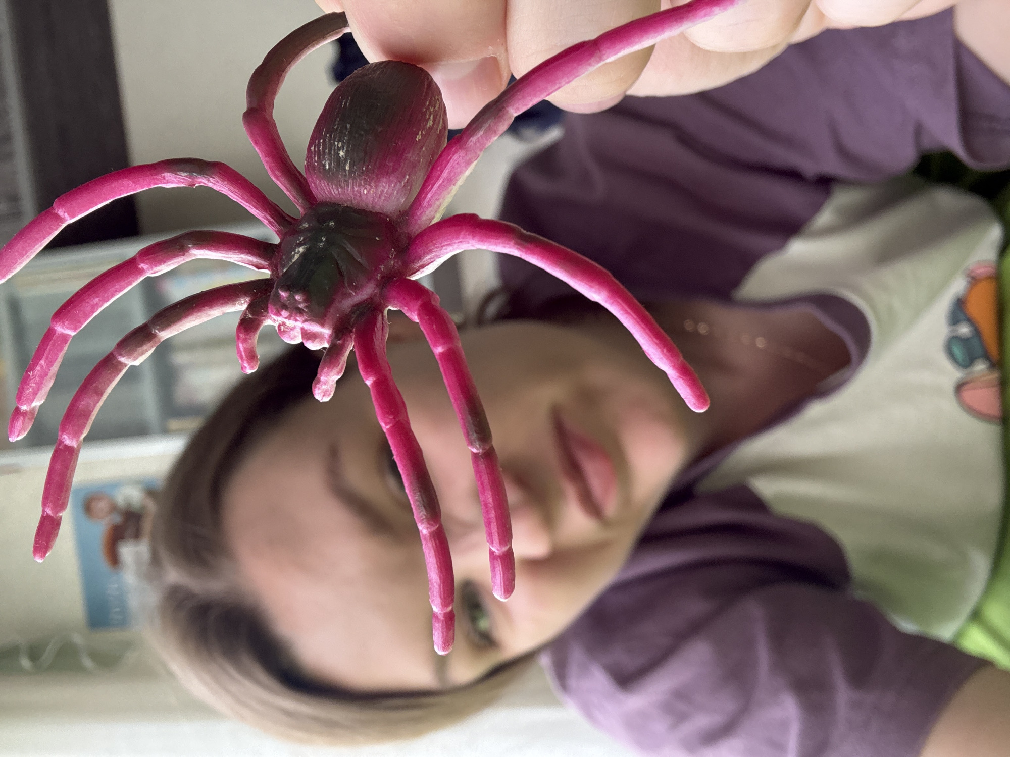 A woman is holding a large pink toy spider towards the camera. The spider has a dark body and segmented legs. The woman is wearing a purple shirt over a white shirt. Her face is slightly blurred in the background. The location appears to be indoors, possibly a home, based on the blurred objects in the background. The city of Chaikovsky, Russia, cannot be confirmed based on the image content.