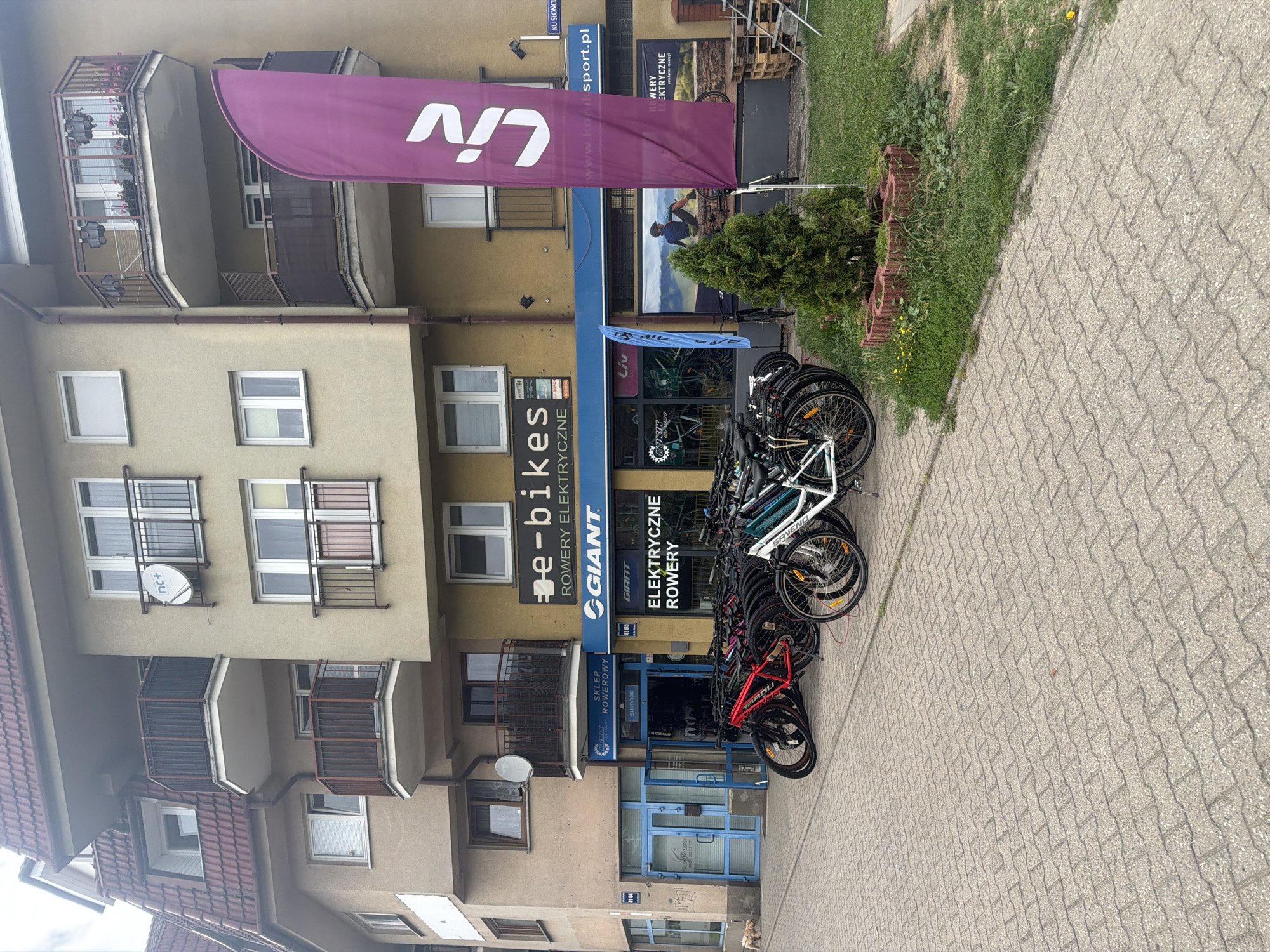This is a full-frame, eye-level, outdoor, daytime shot of a bicycle shop in Szczecin, Poland. The shop, identified by signs reading "e-bikes," "ROWERY ELEKTRYCZNE," and "GIANT," is located on the ground floor of a multi-story building. A prominent purple flag with the "Liv" logo stands to the right of the entrance. Several bicycles are parked on the sidewalk in front of the shop. The building has a beige facade with multiple balconies. A small dog walks on the sidewalk to the left of the shop. The foreground shows a brick-patterned walkway, and to the right, there is a patch of grass with a small evergreen tree in a circular red brick planter.