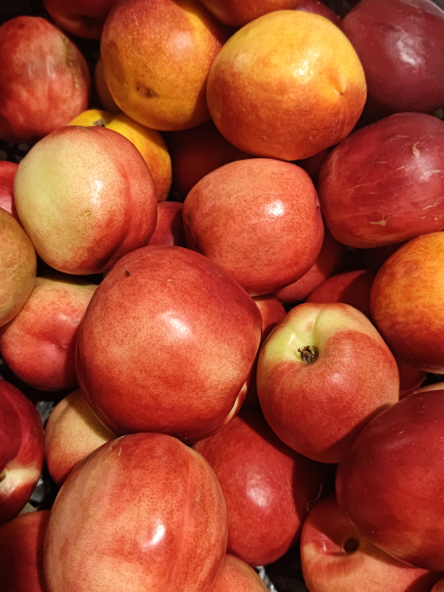 This is a close-up, overhead shot of a pile of nectarines. The fruits are a mix of colors, with dominant reds, oranges, and yellows. Some have a smooth, shiny skin, while others appear slightly matte. The lighting is bright, creating highlights on the curved surfaces of the nectarines. The arrangement is dense, with the fruits overlapping each other, suggesting they are in a basket or bin. There are no people visible, and the setting is a still life of fruit. No text is visible in the image. The image does not provide any cues about the time of day, weather, or specific location beyond the fruits themselves.
