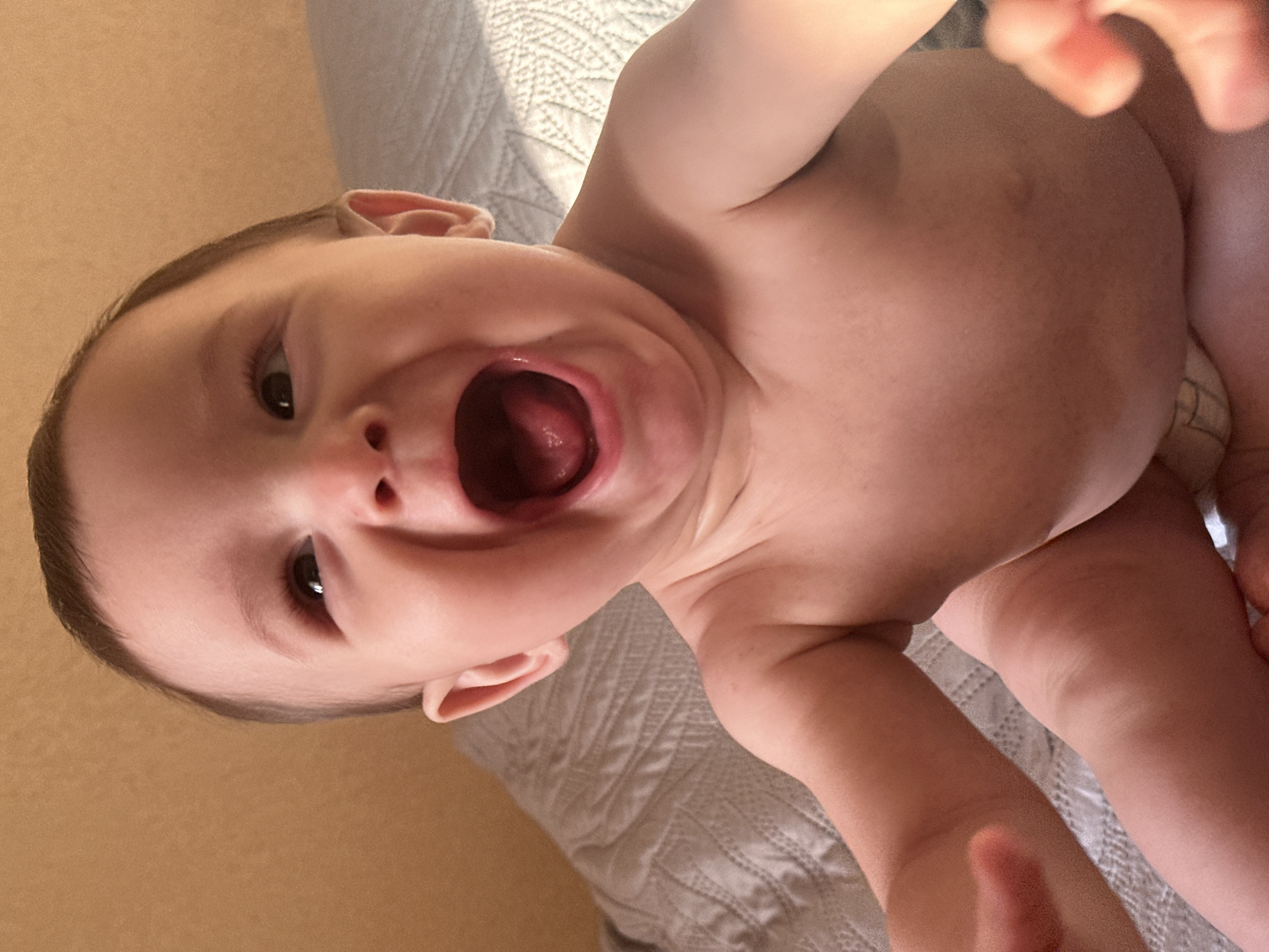 An extreme close-up of a baby's face is shown. The baby is looking up and to the left with its mouth wide open in a happy expression. The baby has brown hair and dark eyes. The background is a textured wall and a bed with a light-colored blanket. Sunlight is casting a shadow across the bed.