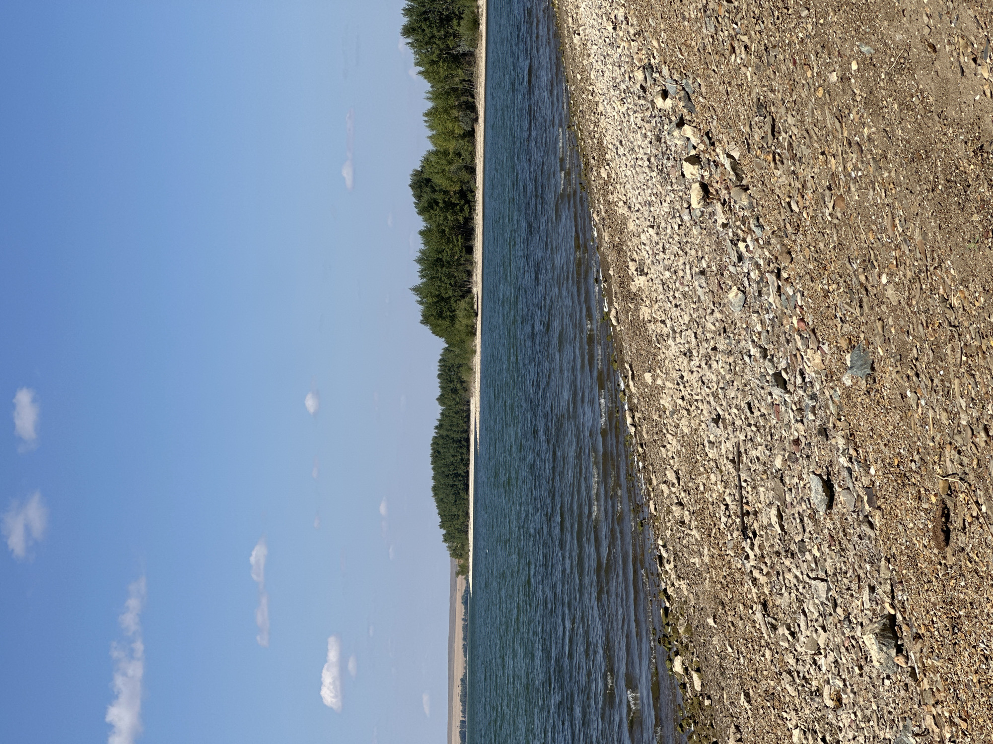 The image depicts a body of water with a rocky shoreline and a treeline in the distance. The water is choppy, indicating some wind. The sky is blue with scattered white clouds. The foreground is dominated by a beach covered in various sizes of rocks and some scattered debris. In the background, a dense line of trees forms the horizon, with a hint of a dry, flat landscape beyond them. The scene appears to be a natural, undeveloped area.