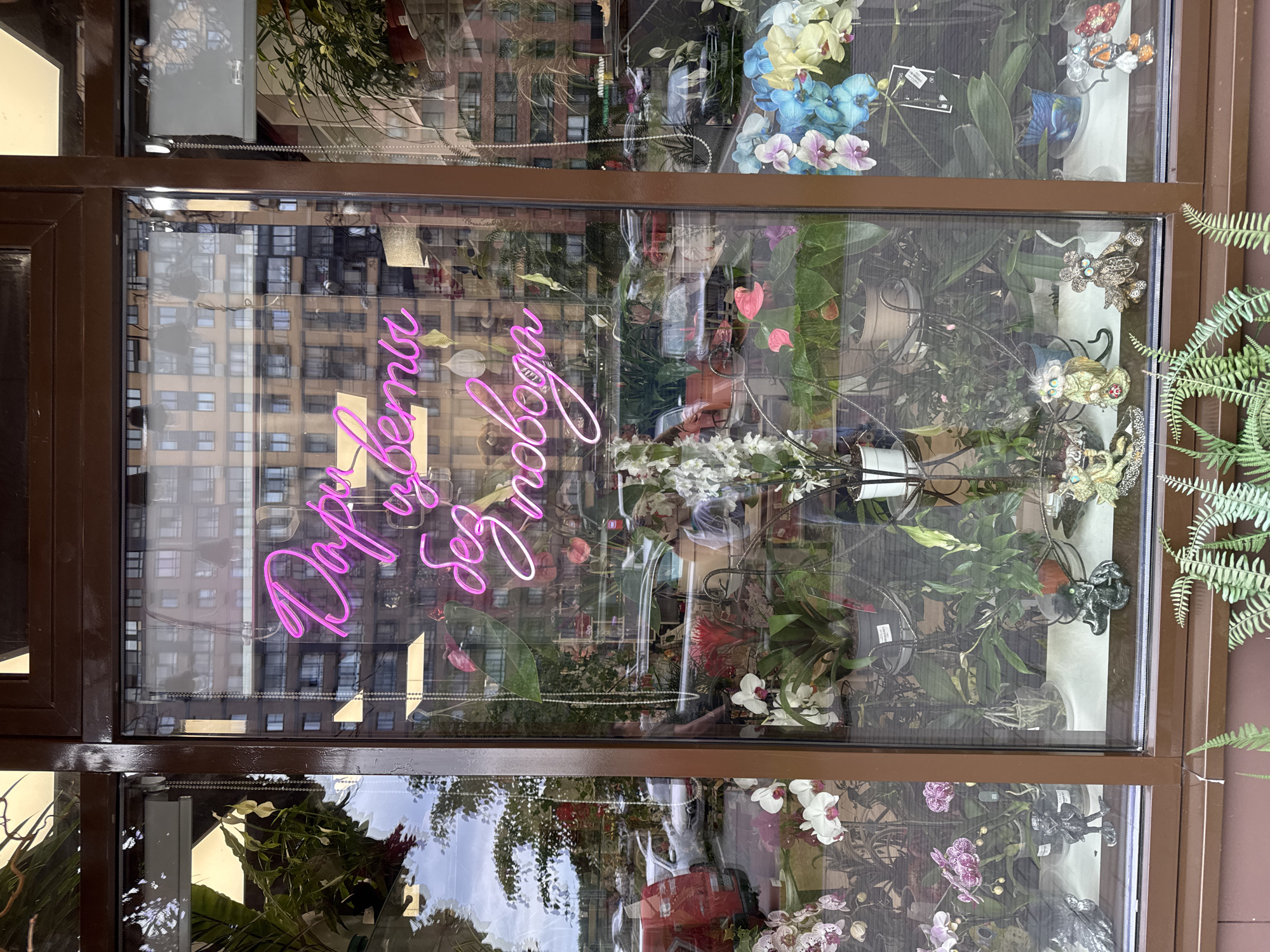 The image shows a storefront window of a flower shop located in Mirny, Russia. The window displays a variety of orchids and other potted plants, some of which are hanging. A neon sign in Russian, reading "Дари цветы без повода" (Give flowers without a reason), is illuminated in pink and is visible through the glass. Reflections of buildings and cars are visible on the glass, indicating an urban setting. Several small decorative figures, possibly gnomes or figurines, are placed among the plants. A few people are partially visible through the window, appearing to be either customers or employees. The overall impression is a vibrant and inviting display of flowers.