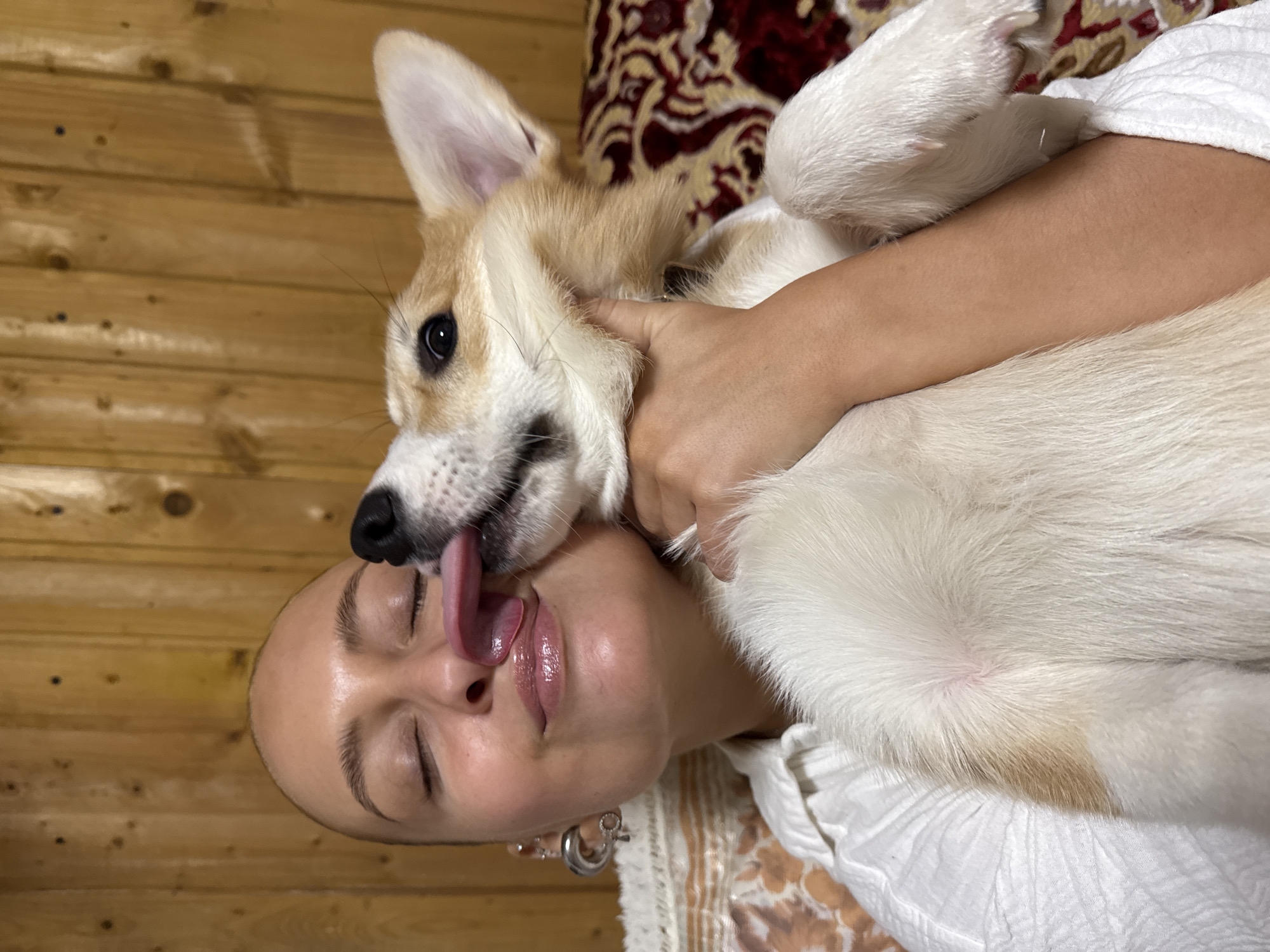 A bald woman with closed eyes is lying on her back. A corgi-like dog with tan and white fur, is turned sideways with its face facing the woman's face, and is licking her lips. The woman has on silver hoop earrings, and her hair is shaved off. The woman has on a white shirt. The background is made up of tan wood planks and an ornate red and gold rug. Based on the metadata, the location may be in Chastyye, Russia.