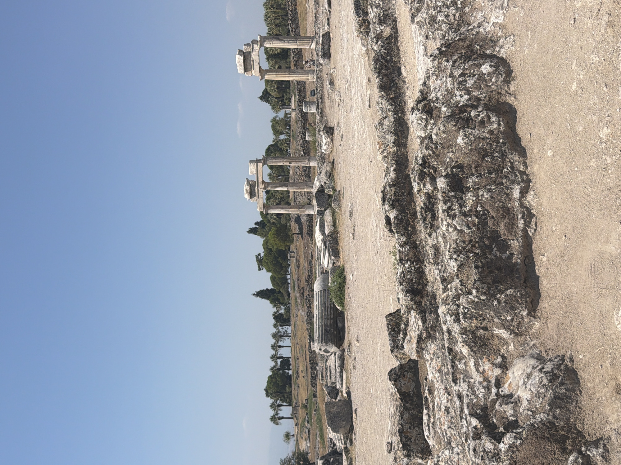 This is a sunny, outdoor photograph taken at the Hierapolis archaeological site in Pamukkale, Turkey. The foreground is dominated by rough, textured rocks and sandy ground, suggesting a dry, arid environment. In the middle ground, remnants of ancient structures are visible, including a large, fallen stone column and the foundations of buildings. Further back, a pair of ancient doorways or archways, constructed with large stone columns topped by lintels, stand as prominent features. A person, wearing a hat and a light-colored shirt, is standing near the right-hand archway, observing the ruins. The background features a line of palm trees and other greenery, with a clear blue sky above. The overall scene depicts a well-preserved ancient site under a bright, sunny sky.