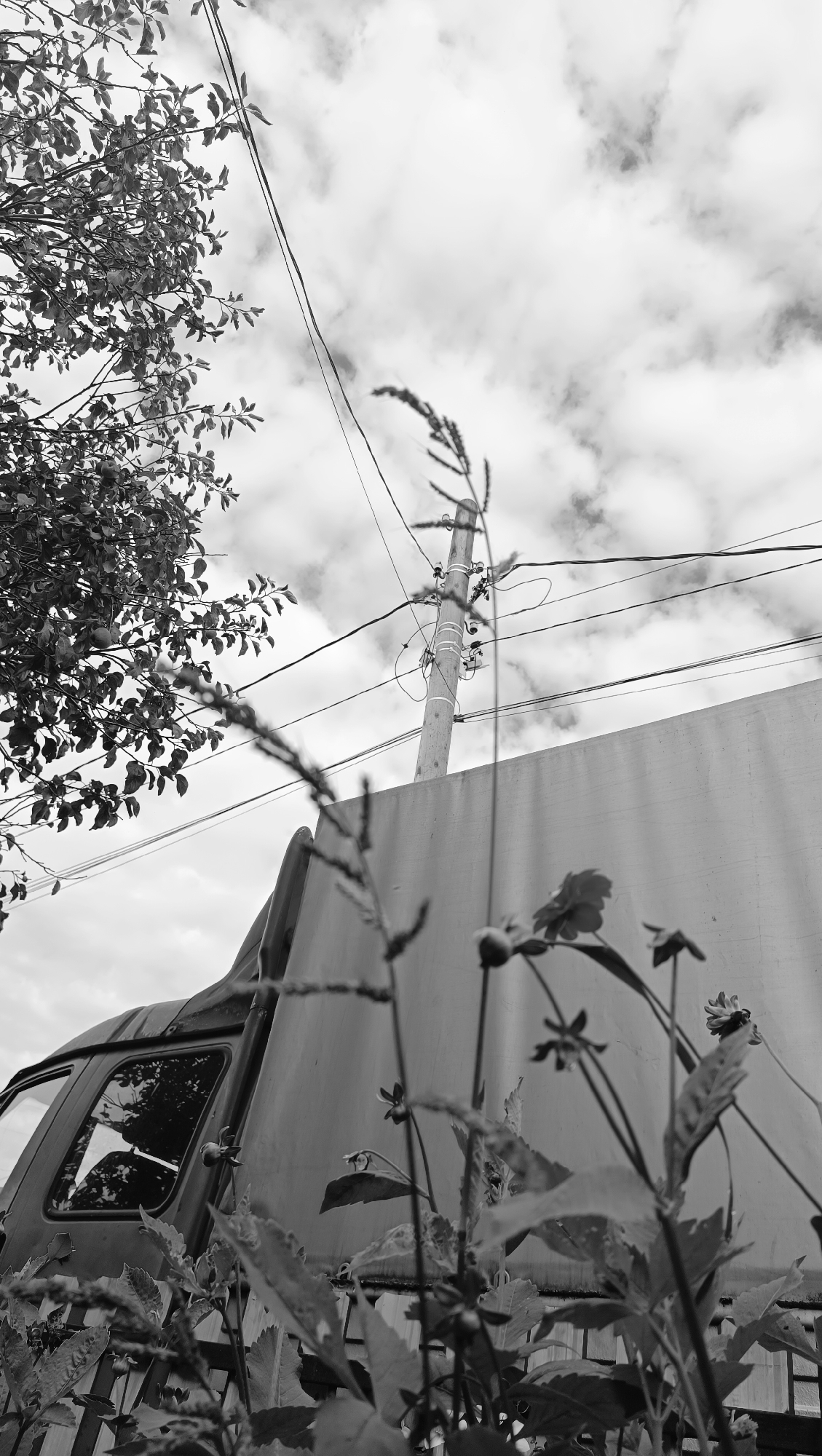 A low-angle, black and white, outdoor photograph captures a scene with a focus on foreground foliage against a backdrop of a utility pole, power lines, a wall, and the sky. In the immediate foreground, out-of-focus plants with delicate stems and leaves are visible, with a few small flowers and seed heads. To the left, a portion of a tree with dense foliage and some indistinct round objects, possibly fruit, is present.
Dominating the mid-ground is a tall, wooden utility pole with numerous electrical wires emanating from it, stretching across the frame. To the right of the pole, a large, plain, light-colored wall extends upwards and across the image, appearing to be made of a solid material like concrete or metal. Partially visible on the left side of the image, behind the foreground foliage and in front of the wall, is the dark side and window of what appears to be a vehicle, possibly a truck or van. The window reflects some of the surrounding environment, including tree branches.
The background consists of a sky filled with scattered, textured clouds, suggesting an overcast or partly cloudy day. The overall lighting is diffused. The composition creates a sense of depth, with the foreground elements blurring out to emphasize the more distant objects. The scene is devoid of people and any apparent activity. The aesthetic is stark and somewhat industrial, with natural elements juxtaposed against man-made structures. The image is set in Karsha, Russia.