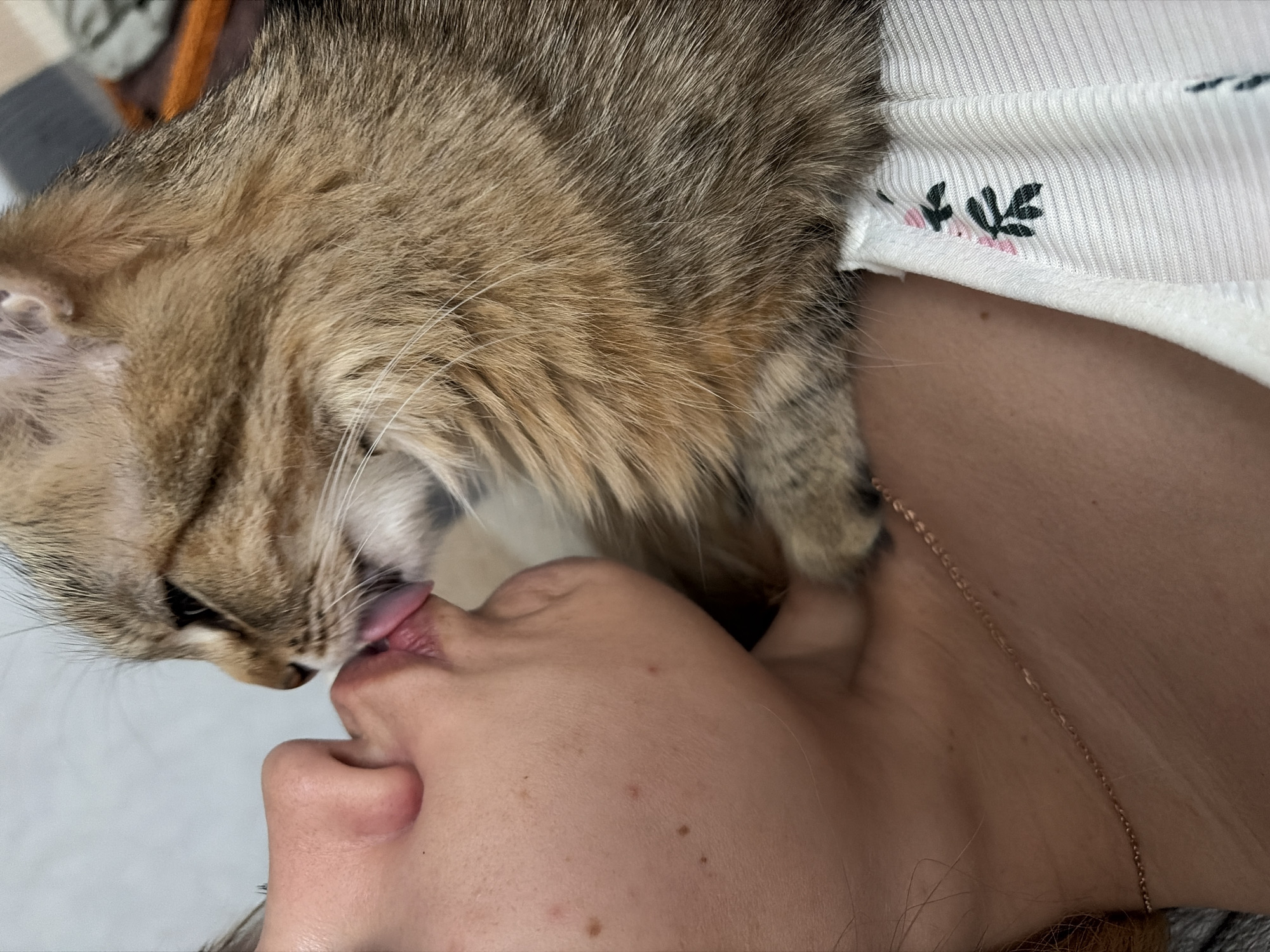 A close-up photograph depicts a light brown and tan cat licking the lips of a person with fair skin. The person is positioned with their face at an angle to the camera, revealing their nose and slightly parted lips. The cat is situated above the person's face, with its tongue extended to make contact with the person's mouth. The person is wearing a light-colored ribbed top with a small floral pattern near the neckline. A thin gold necklace is visible on the person's neck. The background is out of focus, showing a glimpse of a gray and orange patterned surface. The location is not identifiable from the visual data.