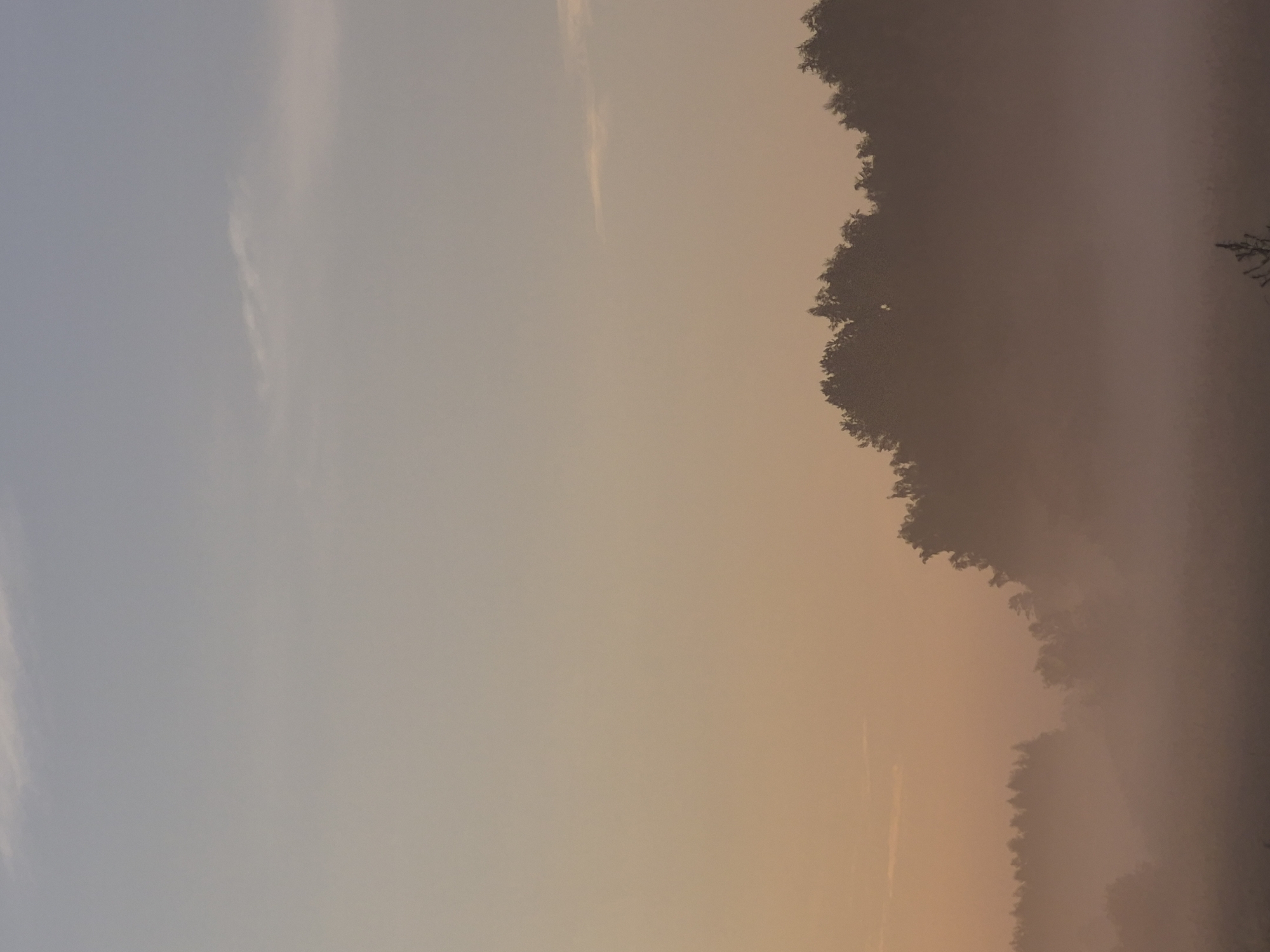 This is a vertical, eye-level, medium shot of a misty landscape at dusk. The sky is a pale gradient of blue and peach, with a few wispy clouds. A dense line of trees forms a silhouette against the hazy horizon, their tops indistinct due to the fog. The mist blankets the lower portion of the image, obscuring the ground and creating a soft, ethereal atmosphere. There are no visible people or animals. The scene is tranquil and natural, evoking a sense of calm and quiet. The location is identified as Sooblase, Estonia.