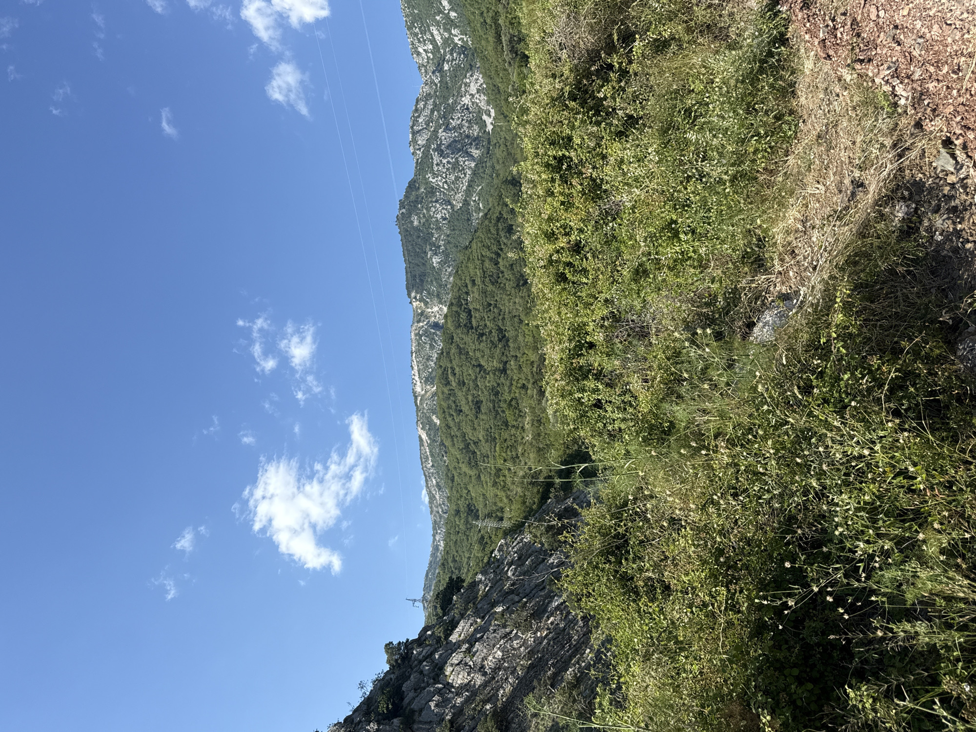 This image depicts a mountainous landscape with lush green vegetation in the foreground and midground, transitioning to rocky, tree-covered slopes and peaks in the background. The sky is a clear blue with scattered white clouds. Power lines are visible spanning across the frame in the upper midground. The terrain appears rugged and natural, suggesting an outdoor setting likely outside of a densely populated urban area.