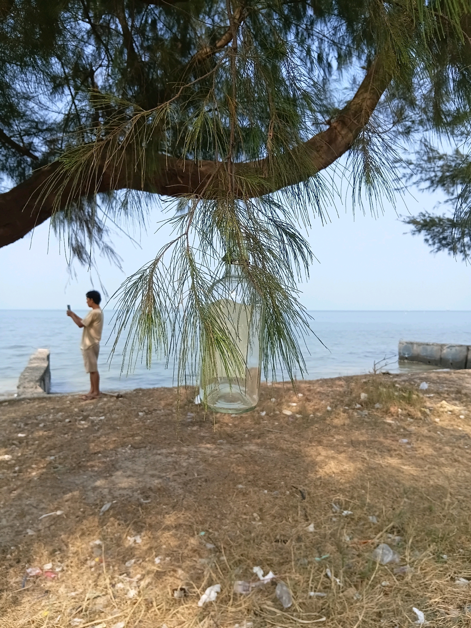 In Cikal, Indonesia, a person stands by the water's edge, holding a smartphone. The scene is set on a dry, sandy area covered with sparse vegetation and some litter. In the foreground, a clear glass bottle hangs from a tree branch, its branches partially obscuring the view. The ocean stretches out behind the person, meeting a pale sky. Two concrete structures are visible along the shoreline.