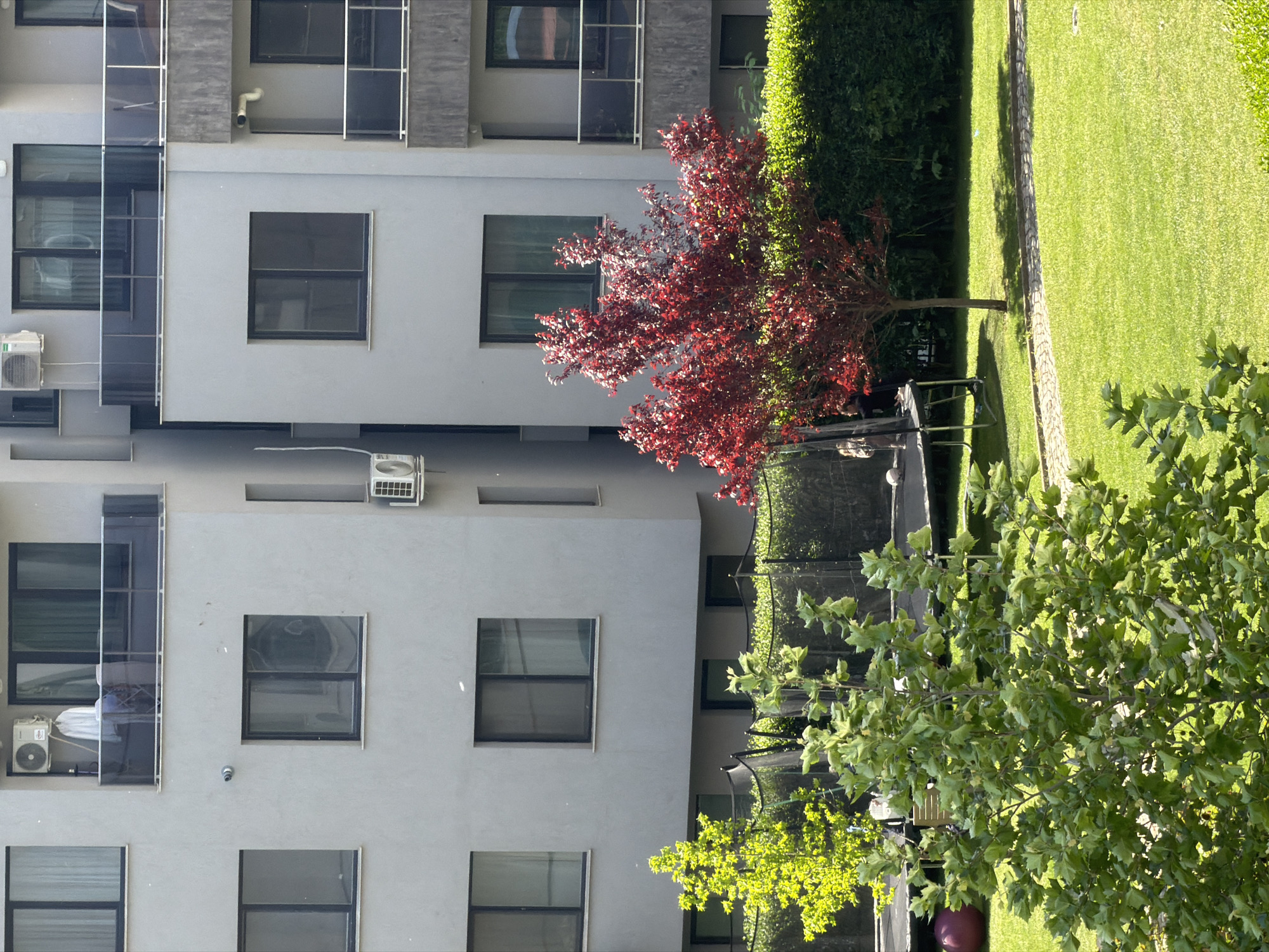 A medium shot depicts an outdoor scene in Sofia, Bulgaria. A multi-story, light grey building with dark-framed windows dominates the left half of the frame. Air conditioning units are visible on the building's exterior. A red-leafed tree stands between the building and a green lawn, which extends along the right side. A trampoline with black netting is visible in the middle ground. In the foreground, another tree with green leaves is present.