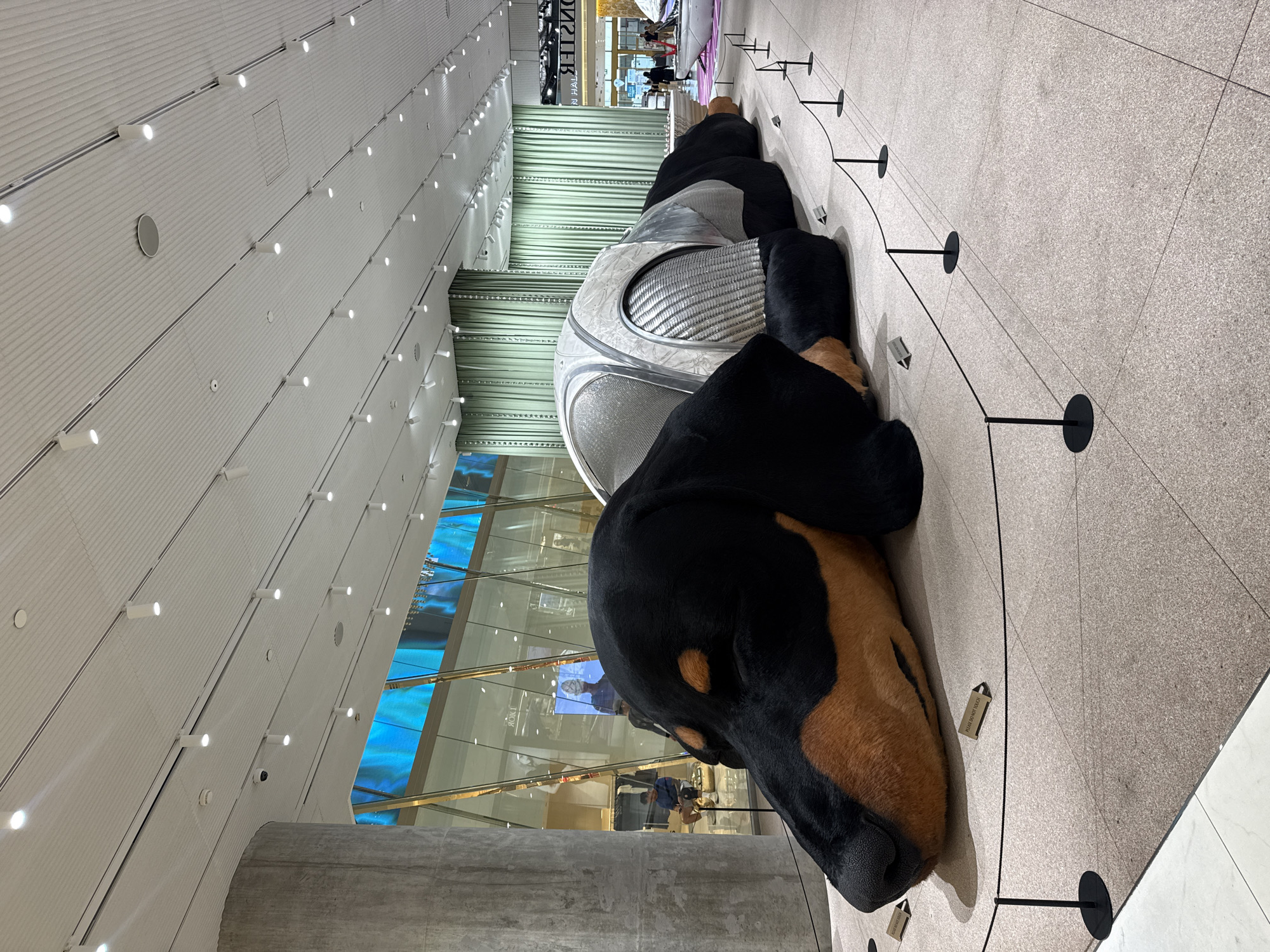 The image depicts a large, black and tan, dachshund-like sculpture lying on a light-colored floor in a public indoor space. The sculpture has a metallic, segmented covering over its back. Several small, dark stanchions with ropes cordon off the sculpture. In the background, there are large windows, a concrete pillar, green curtains, and displays with signage, suggesting it is a retail or exhibition space. The ceiling features a grid of lights. Based on the signage visible, this location is identified as ICONSIAM in Bangkok, Thailand. There are a few indistinct figures visible in the background, some appearing to be shopping or walking.