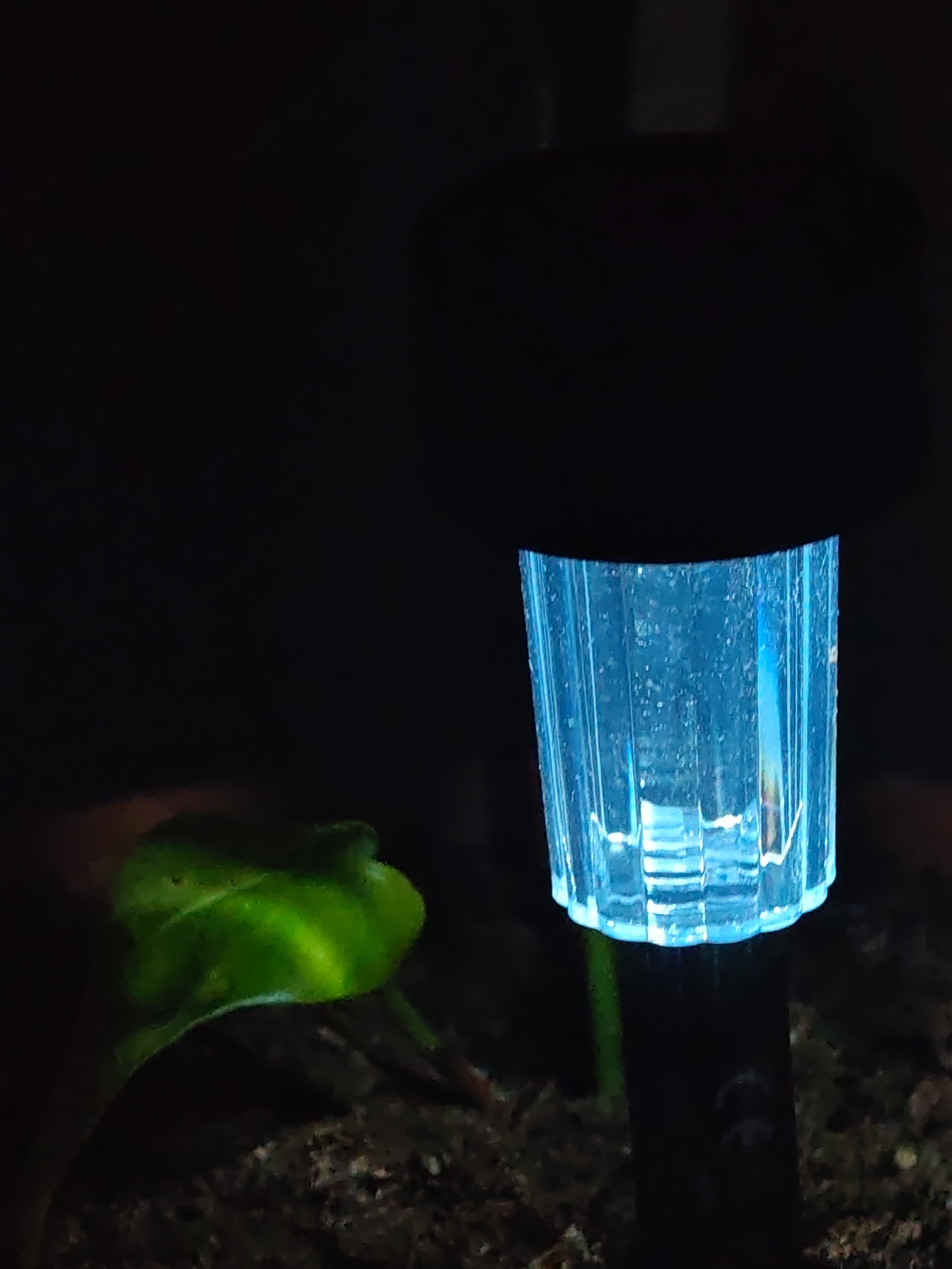 The image presents a nocturnal or dimly lit scene focusing on a solar garden light and a plant. On the right, a blue-illuminated solar-powered garden light stands upright. Its top section is a dark, cylindrical cap, while the lower part features a ribbed, clear plastic casing through which blue light emanates. Below the light source, a dark stake-like structure extends downwards, partially embedded in the ground. To the left, a single, broad green leaf from a plant is partially visible, illuminated by either ambient light or the garden light itself. The ground beneath both the light and the plant appears to be dark soil or mulch. The background is predominantly dark and indistinct. No individuals or specific urban identifiers are present in the image to indicate the city of Shumen, Bulgaria.