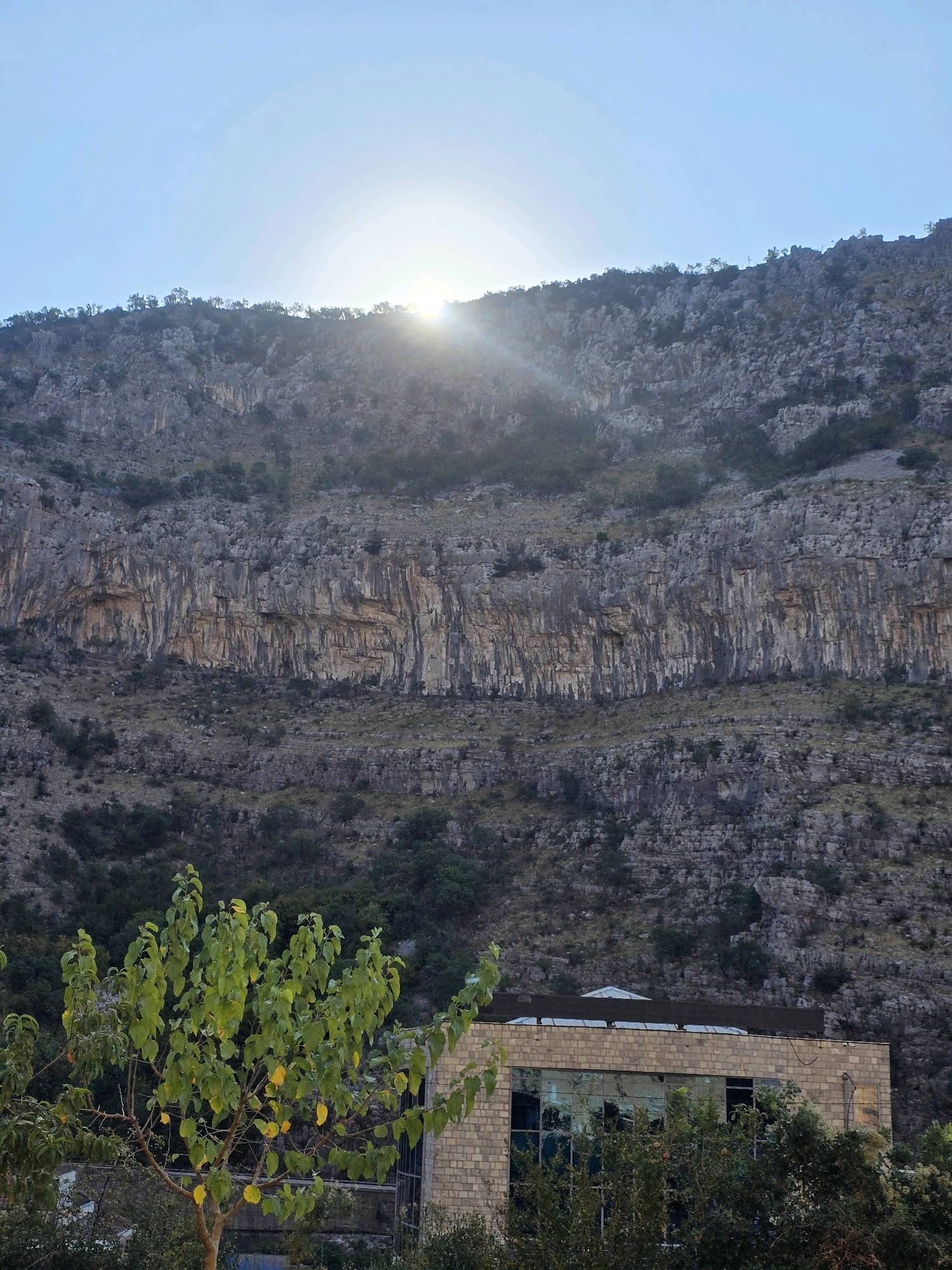 The image depicts a sun-drenched, rocky mountain face with a few scattered trees along its upper ridge. The sun is visible near the top center, casting rays through the clear sky. Below the mountain, a building with a brick facade and large, reflective windows is partially obscured by dense foliage in the foreground. A tree with green and yellowing leaves stands to the left of the building. The scene appears to be set in an outdoor, natural environment, possibly on the outskirts of a city.