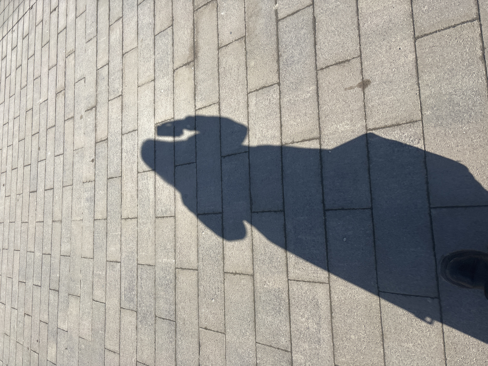 The image depicts a shadow cast on a paved walkway. The shadow appears to be that of a person holding a camera or phone, with a hint of a foot visible at the lower right edge of the shadow. The paving stones are light gray and rectangular. The image was taken outdoors in daylight. There is no direct indication of the location being Perm, Russia.