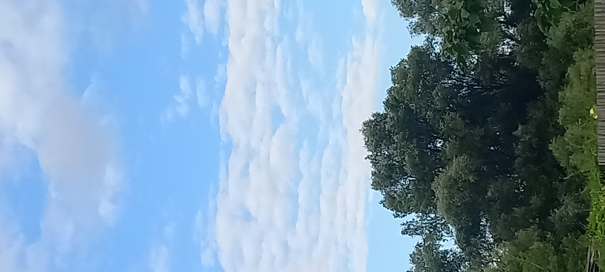 The image shows a view of the sky and trees in Идрисово, Russia. The sky is a bright blue with scattered white clouds. Below the sky, there are several large trees with dense green foliage. In the foreground, there is a wooden fence and some smaller green plants. The image appears to be taken during the daytime.