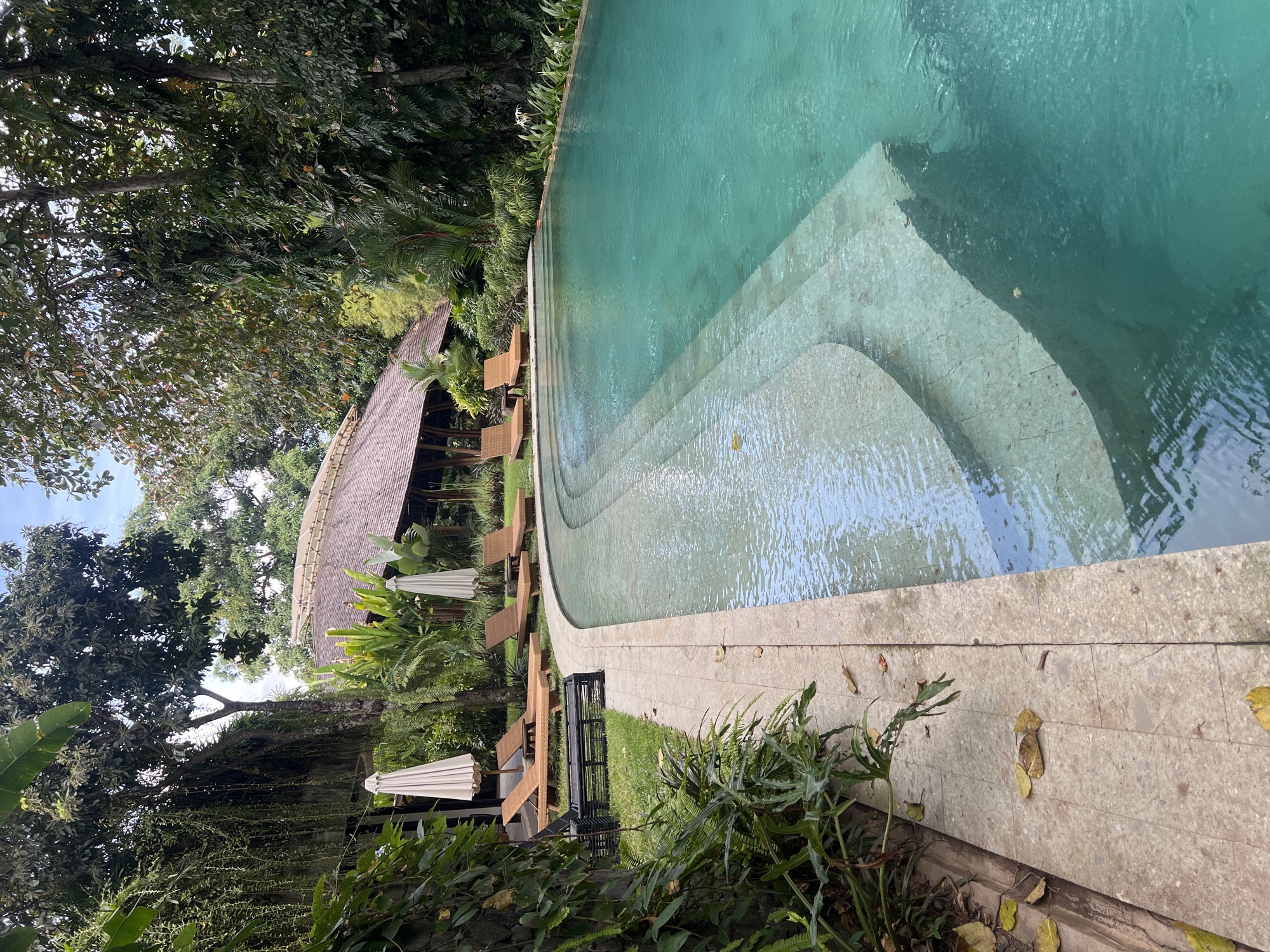 This outdoor image depicts a swimming pool with steps leading into the water, situated in Kerobokan, Indonesia. The pool water is turquoise. Adjacent to the pool is a concrete walkway with scattered leaves. A black metal bench sits on a patch of grass between the walkway and a lush green garden. Several lounge chairs with white umbrellas are arranged near a building with a thatched roof. Trees surround the area, providing shade and creating a tropical ambiance.