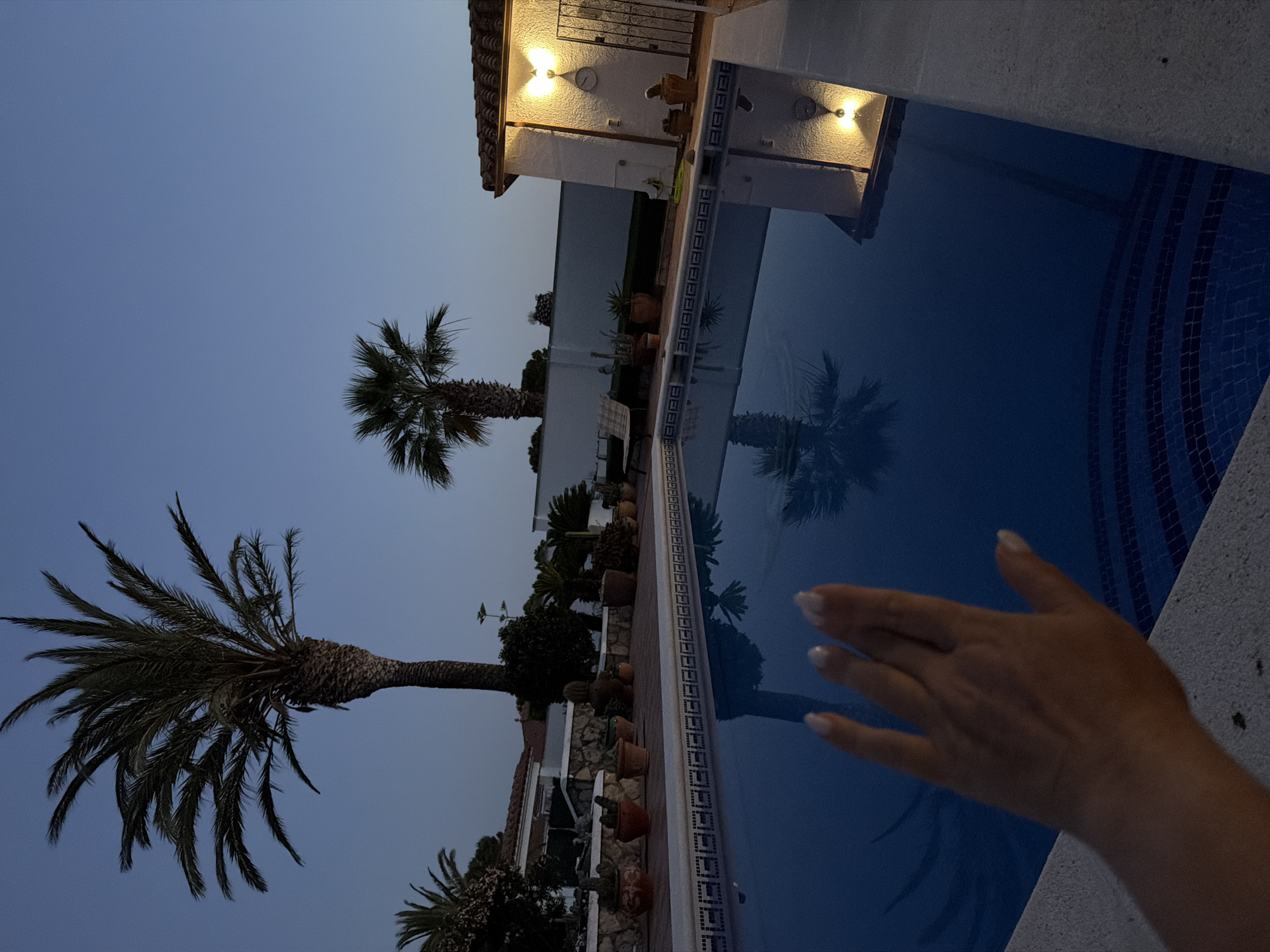 The image captures a twilight scene at a swimming pool in Mont-roig del Camp, Spain. The sky is a gradient of blue. Two palm trees are visible, one in the foreground to the left, and another further back. A white building with lights is in the background, with a structure containing a shower on the right. Numerous plants and pots are arranged along the side of the pool, including cacti and flowering plants. The water in the pool reflects the palm trees and building. A person's hand is partially visible in the foreground on the right side of the image.