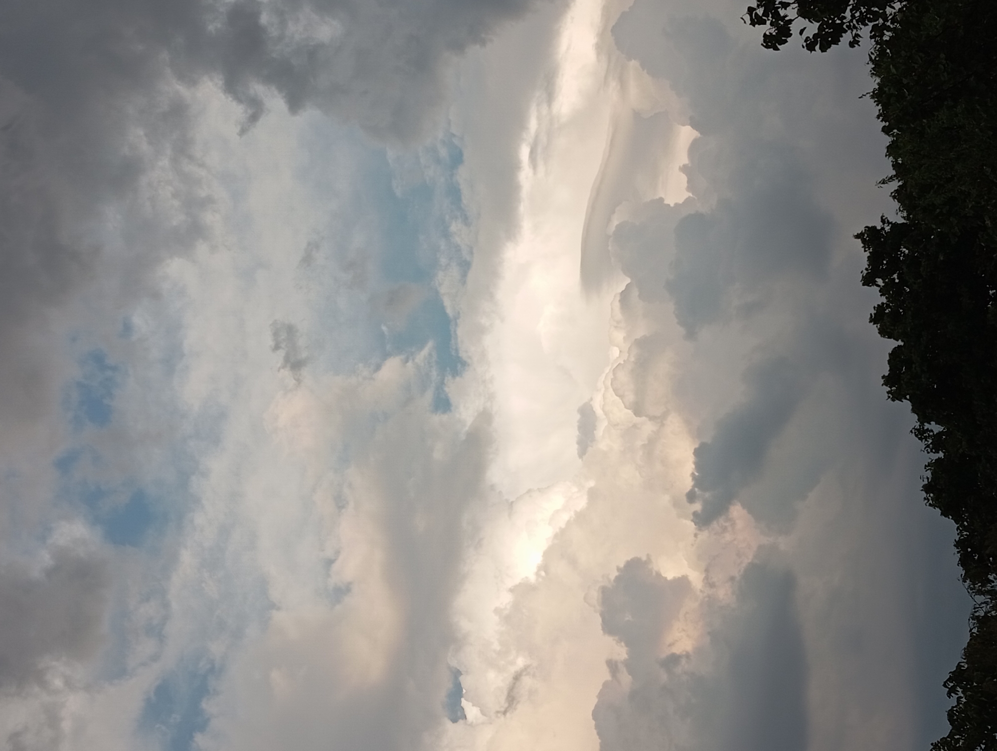 The image captures a dramatic sky filled with a variety of clouds, suggesting an impending storm or the aftermath of one. The upper portion of the image shows patches of blue sky interspersed with dark, heavy clouds. Towards the center, the clouds are lighter, illuminated by sunlight, creating a bright, almost ethereal glow. Lower down, the clouds are dense and gray, with some appearing almost black. The bottom of the image is dominated by the dark silhouettes of trees, forming a dense canopy that extends across the frame. This suggests a view from a park, a forested area, or a location with abundant trees within the city of Nitra, Slovakia. There are no people or specific structures visible, focusing entirely on the natural element of the sky and the treeline. The lighting and cloud formations create a sense of atmospheric tension.