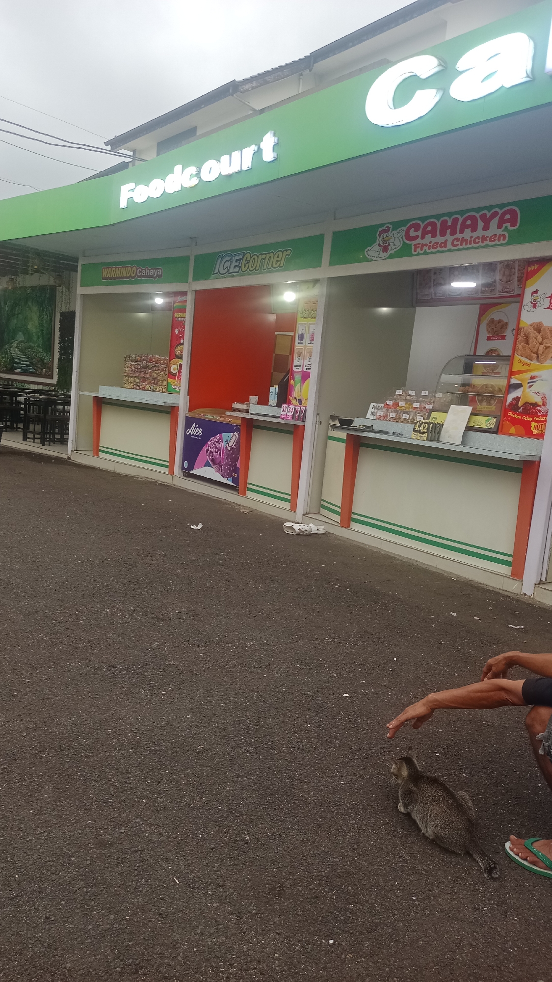 A low-angle, wide shot captures an outdoor food court in Karyamandala, Indonesia, under an overcast sky. The food court features a prominent green awning with illuminated white text reading "Foodcourt" and "ca". Below the awning, individual stalls are visible, including one labeled "WARMINDO Cahaya" and another "ICE Corner." A stall with a red front displays an ice cream freezer with an "Alice" logo. To the right, a stall labeled "CAHAYA Fried Chicken" showcases fried chicken products in a display case and on signage. In the foreground, on the asphalt ground, a person's arm and hand are reaching towards a tabby cat, which is lying down on the ground. The person is wearing shorts and flip-flops. A few pieces of litter are scattered on the asphalt. Tables and chairs are visible in the background to the left.