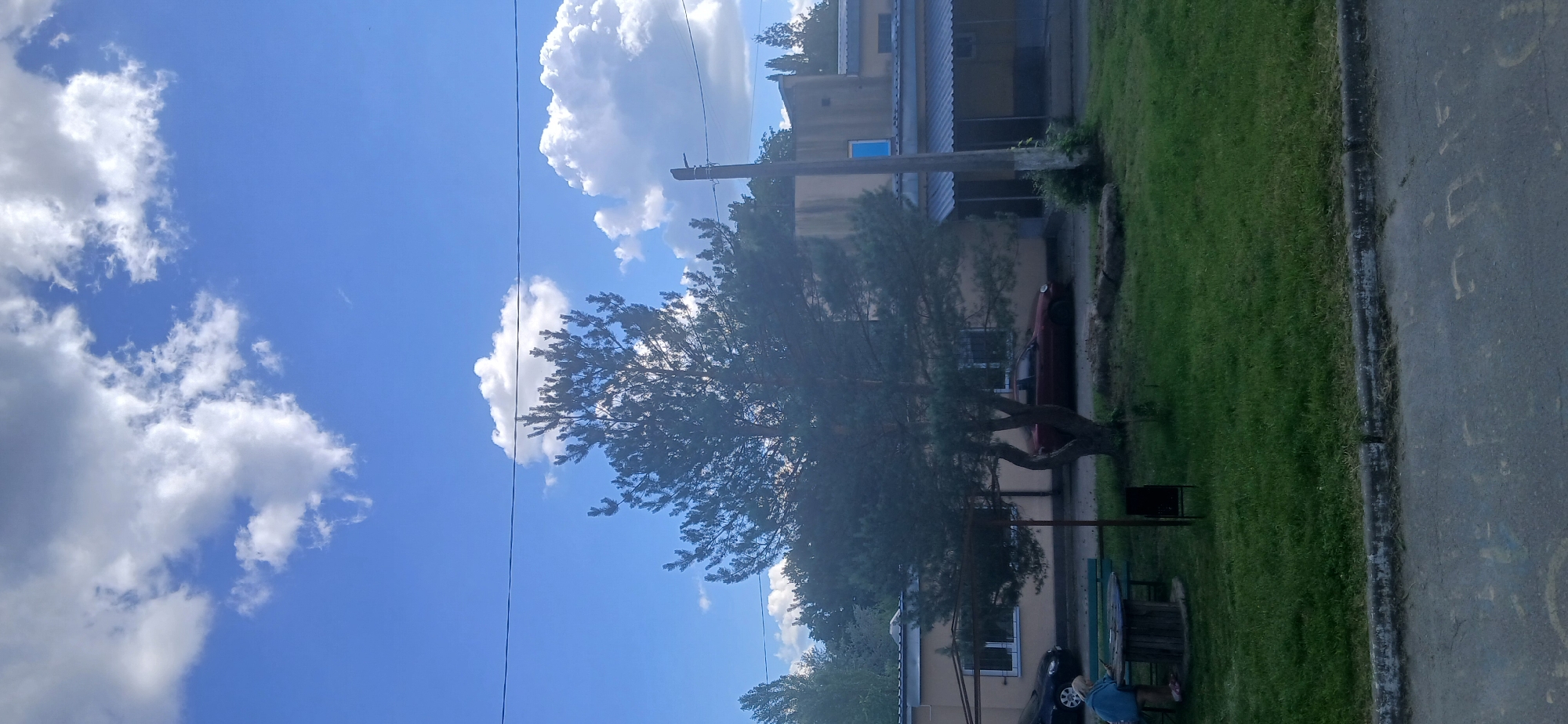 In Boyarka, Ukraine, on a bright, cloudy day, a large pine tree stands prominently in the foreground, casting a shadow over a grassy area. Behind the tree, a low-rise, light-colored building with a dark roofline is visible, featuring several windows. A red sedan is parked in front of the building, and a black car is also present. A wooden picnic table with benches sits in the yard, and a person wearing a blue jacket is seated at it, looking down at something. A utility pole with wires runs vertically near the building. The foreground shows a paved area with some faded markings and a concrete curb.