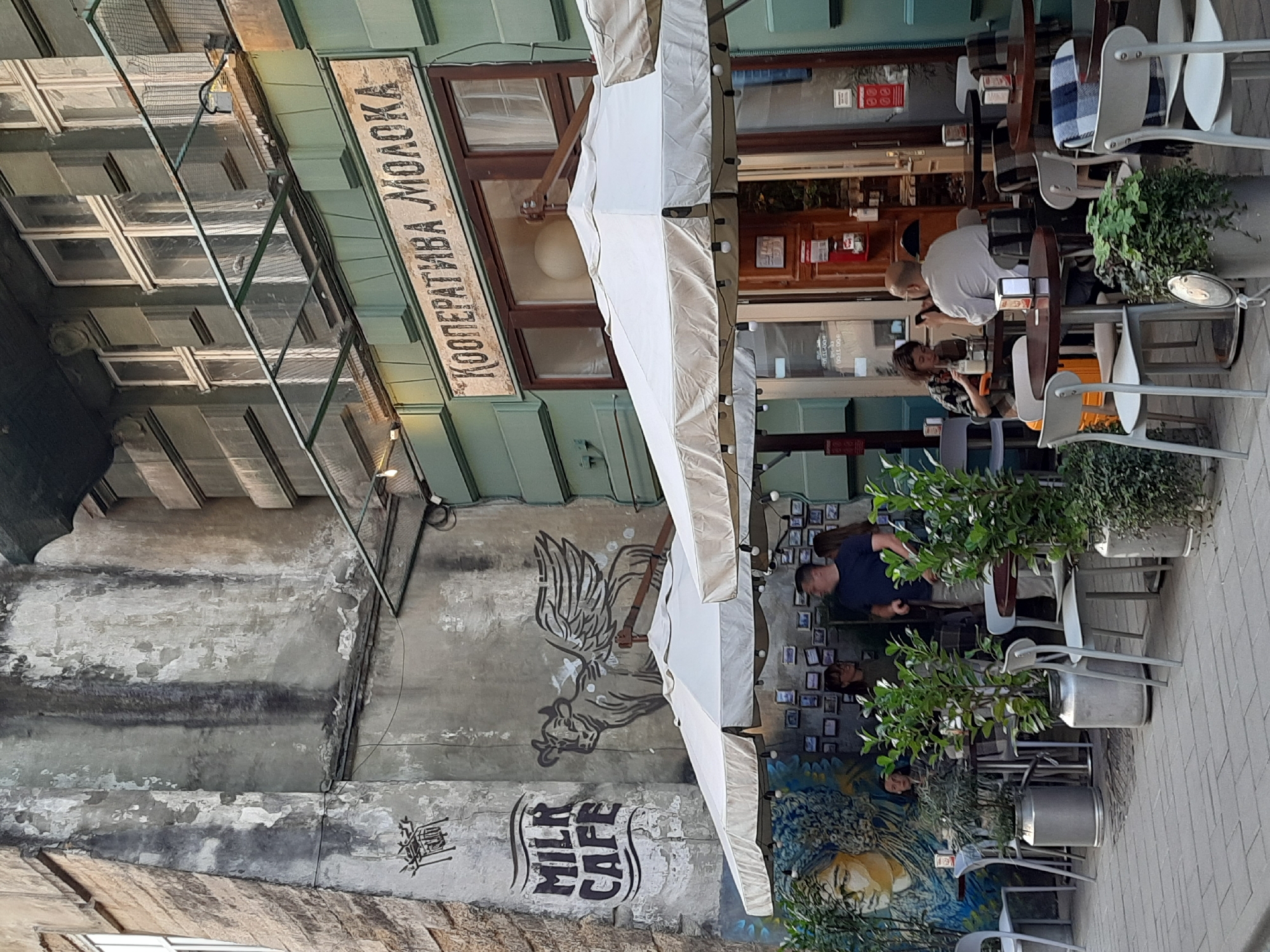 The image depicts an outdoor seating area of a cafe in Lviv, Ukraine, located on a cobblestone street. A weathered, multi-story building with peeling plaster and faded paint dominates the background. Graffiti adorns the building's facade, including the words "MILK CAFE" and a winged bull. Above the entrance to the cafe, a sign in Cyrillic script reads "КООПЕРАТИВА МОЛОКА," which translates to "Milk Cooperative."
Several patrons are seated at tables under white umbrellas. On the left, a woman with dark curly hair is seated at a small table, looking down at her phone. To her right, a man in a blue t-shirt and light-colored pants stands and talks with a woman, also with dark curly hair, who is seated. Further to the right, a couple is seated at a round table. The man, with a bald head, is wearing a white shirt and looking at his phone. The woman, with dark curly hair, is wearing a patterned shirt and looking at her drink. Other tables and chairs are visible, some adorned with checkered blankets. Large potted plants are interspersed throughout the seating area, in large metal milk cans. The cafe appears to be open for business, with an entrance visible leading into the interior. The overall impression is a casual, urban cafe scene on a pleasant day.