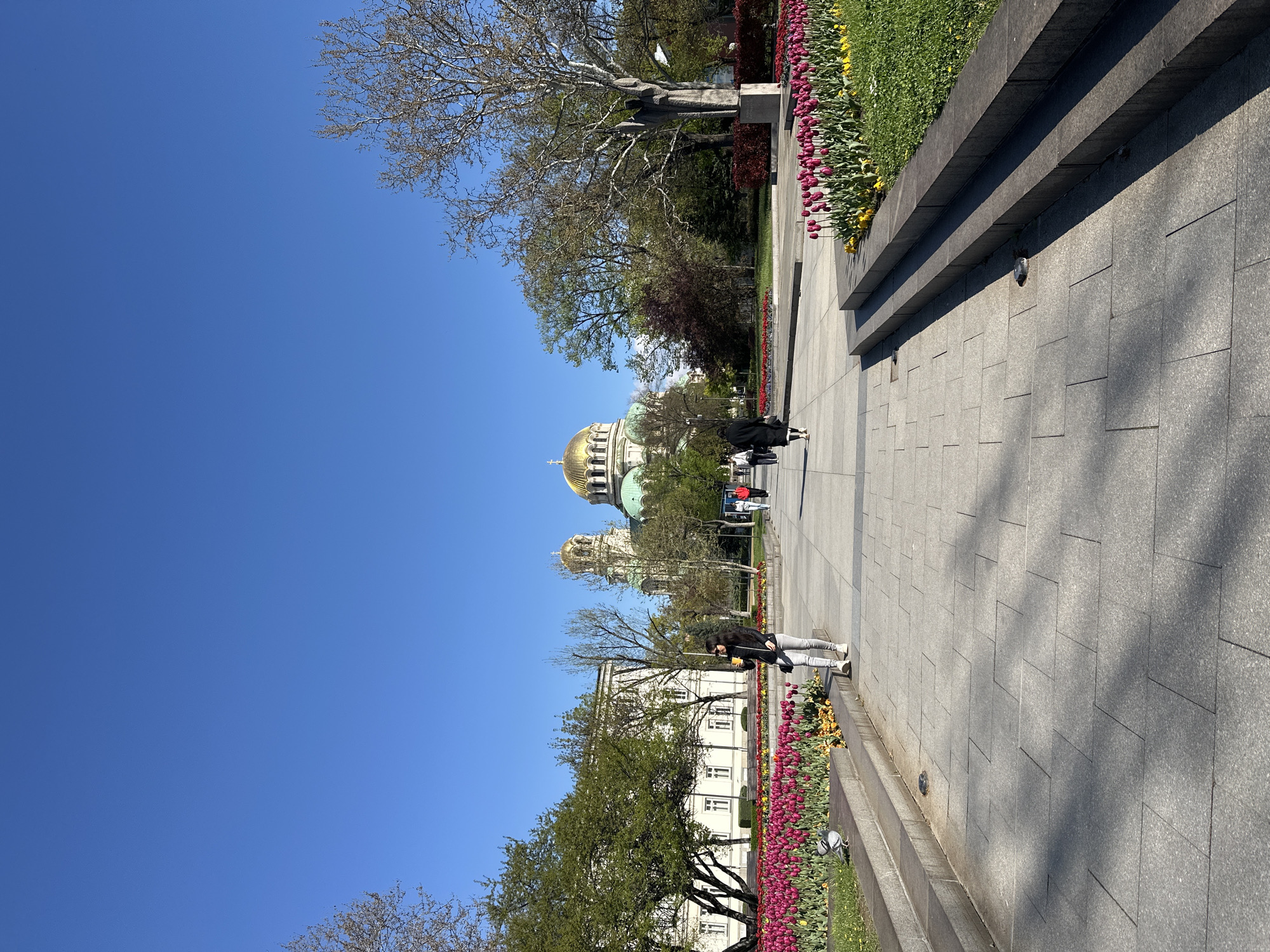 The image depicts a bright, sunny day in a public square or park in Sofia, Bulgaria, with the prominent golden domes of the Alexander Nevsky Cathedral visible in the background.
In the foreground, a wide, paved walkway extends from the lower left towards the right, bordered by a multi-tiered concrete retaining wall. Along this wall, a manicured garden bed showcases vibrant red/pink and yellow tulips in full bloom, interspersed with green grass and other foliage. Several people are present on the pathway; one individual in a black jacket and grey pants stands near the flower bed on the right, while others are seen further in the distance near the cathedral.
The mid-ground features numerous trees, some with sparse branches, suggesting early spring, and others with developing green leaves. To the left of the cathedral, a large, white building with multiple windows is partially visible behind the trees. A tall, dark statue of a man is also discernible among the trees on the upper right side of the image.
The sky is a clear, bright blue, indicating excellent weather conditions. The strong sunlight casts distinct shadows across the paved areas and structures, suggesting a time of day likely in the morning or afternoon. The scene portrays a calm, pleasant atmosphere with people enjoying the outdoor space. No specific event is depicted, and no visible text is present in the image.