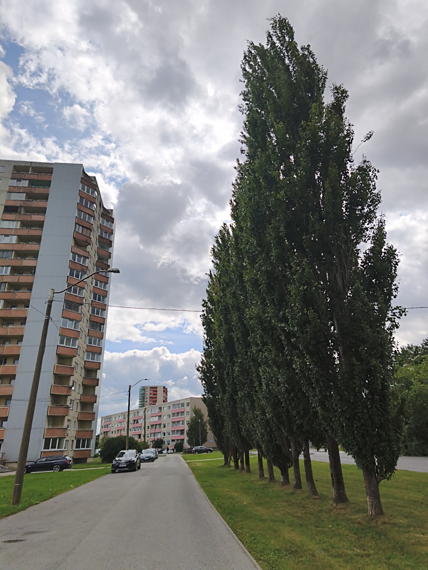 The image shows a street scene in Lasnamäe, Tallinn, Estonia. In the foreground, a gray asphalt road curves to the right, bordered by a strip of green grass. A line of tall, slender trees with dense green foliage stands on the right side of the road, their trunks dark and textured. In the background, a tall, gray apartment building with multiple floors and balconies is visible on the left. Several cars are parked along the street. Further down the road, another apartment building with a red and white facade is seen. The sky is partly cloudy with a mix of gray and white clouds.