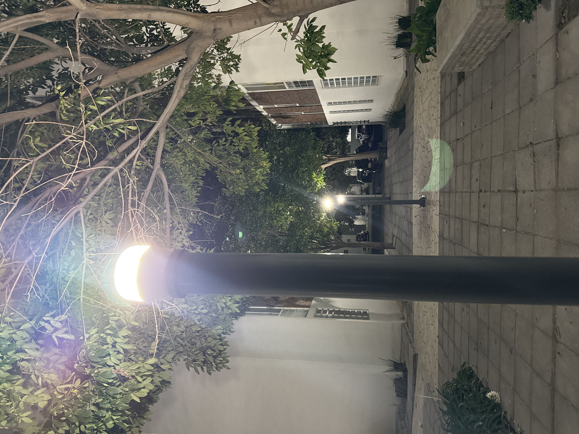 The image depicts a street scene at night, likely in the city of Puebla, Mexico, due to the architectural style of the buildings. A black street lamp dominates the foreground, with its light source on and obscured by trees. The lamp is positioned vertically, extending towards the center of the frame.
Behind the lamp are trees with green leaves, and through the trees, a row of white buildings can be seen, some with windows. The background includes several street lamps illuminating the area. On the right side of the image, there is a paved walkway or sidewalk. No people are visible in the image.