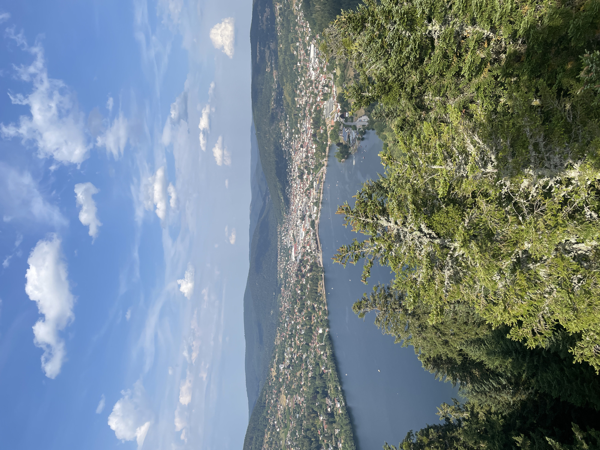 The image is a high-angle view of the city of Gérardmer, France, situated on the shores of Lake Gérardmer. The foreground is dominated by the dense green foliage of pine trees, some of which are covered in lichen. Beyond the trees, the deep blue water of Lake Gérardmer stretches across the mid-ground, dotted with a few small white boats. The city of Gérardmer sprawls along the edge of the lake, a dense collection of buildings with red-tiled roofs interspersed with green trees. In the background, rolling green hills covered in forests rise up, forming a picturesque mountainous landscape. The sky above is a vibrant blue, populated by fluffy white clouds. The overall scene depicts a serene natural landscape with a town nestled within it.