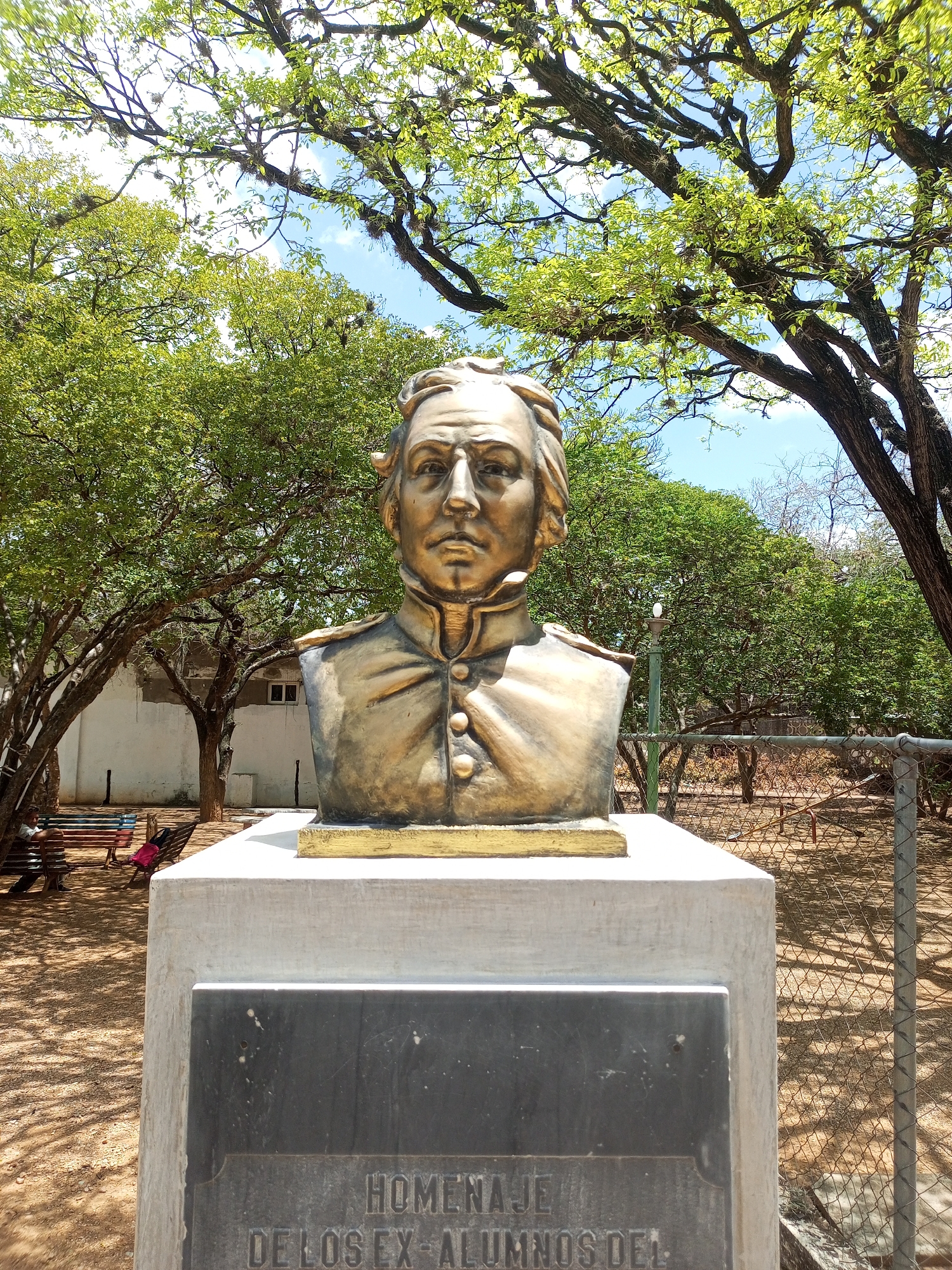 A bronze bust of a man in military attire, likely a historical figure given the uniform details and stern expression, is positioned centrally on a white concrete pedestal. The pedestal itself is mounted on a larger, darker rectangular base that bears an inscription in Spanish, partially visible and reading "HOMENAJE DE LOS EX-ALUMNOS DEL". The bust and pedestal are situated outdoors in a shaded area, with dappled sunlight filtering through the dense canopy of a large tree with gnarled branches overhead. Behind the bust, a chain-link fence encloses an area with dry vegetation and scattered trees. In the mid-ground, to the left, a white building with a few windows is visible, and further left, two park benches are occupied by two individuals. The ground is covered in a fine, reddish-brown dirt or sand, suggestive of a park or public square. The sky above is clear and blue with some wispy clouds. This scene is located in the city of Santa Ana, Venezuela.