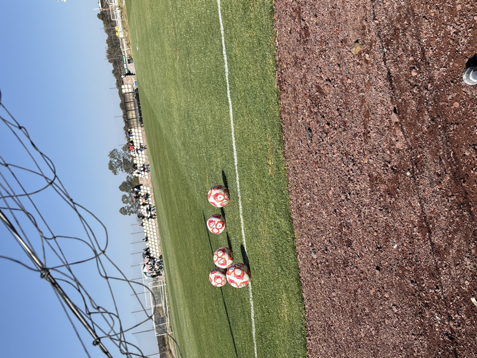 A soccer field stretches into the distance under a bright blue sky. The field's vibrant green grass is bordered by a strip of brown dirt. Five red and white soccer balls sit near the edge of the field. A white line marks a boundary. In the background, bleachers are filled with spectators. A soccer net is visible in the foreground, slightly obscuring the scene.