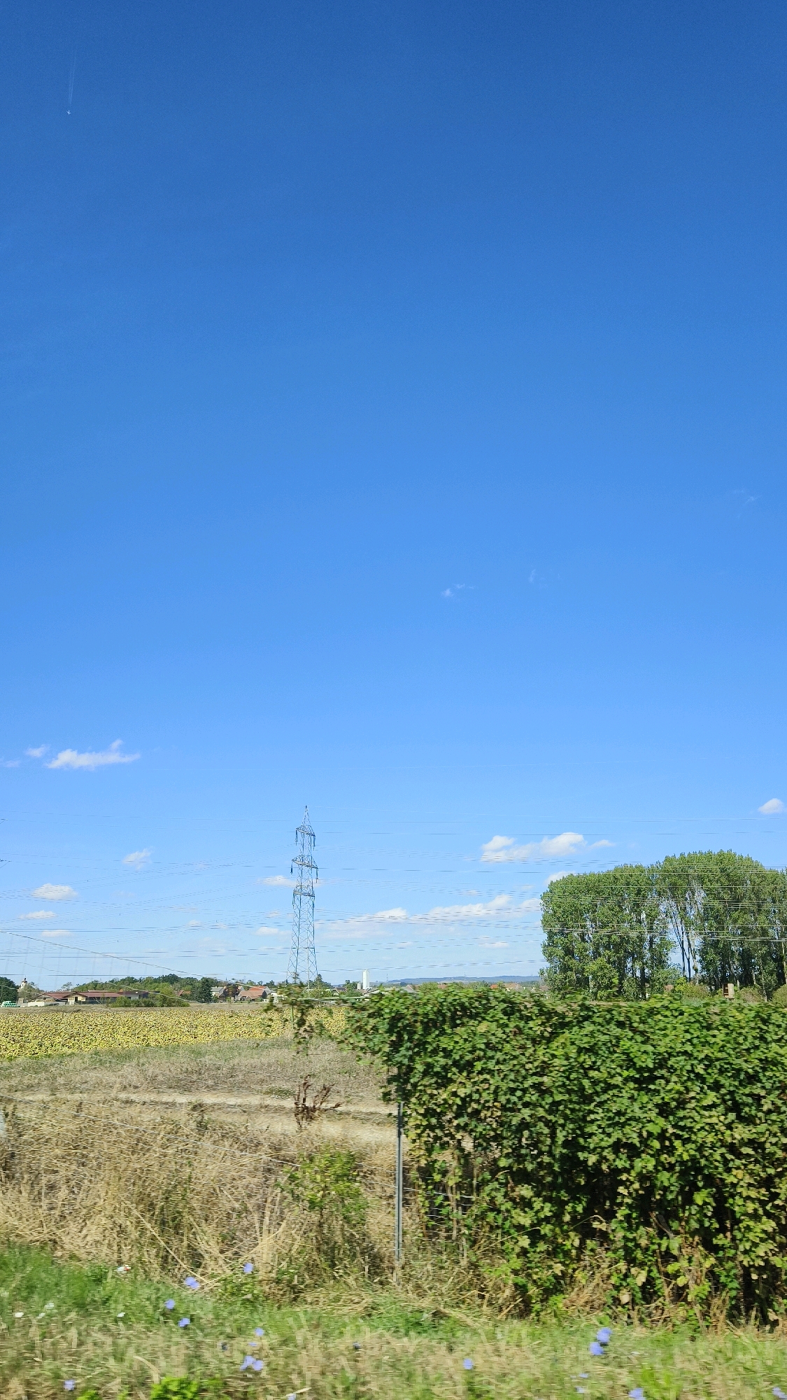 The image shows a landscape under a bright blue sky with a few scattered white clouds. In the far distance, a faint white contrail from an aircraft is visible. A tall, lattice-style transmission tower stands in the middle ground, with power lines extending horizontally across the frame. To the right of the tower, a dense cluster of tall, green trees forms a prominent feature. In the lower half of the image, there is a field with dry, yellowish grass and some low-lying green vegetation. A thick hedge of lush green foliage dominates the right foreground, obscuring a fence post. In the far left background, a field of yellow sunflowers can be seen, with houses and buildings visible beyond it. The scene depicts a rural or semi-rural environment, possibly on the outskirts of Schmida, Austria.