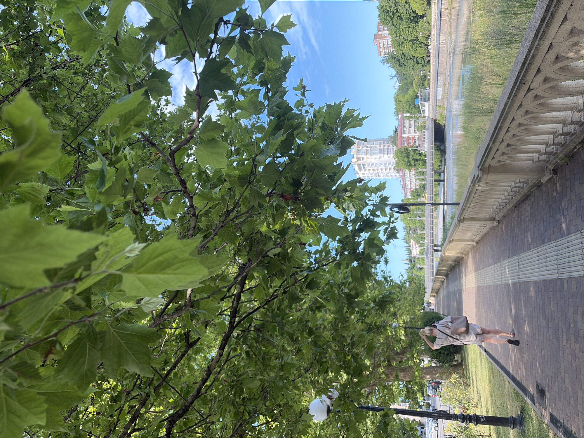 The image depicts a waterfront promenade in Sochi, Russia. A lone woman with blonde hair tied in a bun is walking away from the camera on a brick pathway. She is wearing a light-colored, loose-fitting outfit and carrying a large tote bag over her shoulder. To her left is a green lawn with trees and parked cars. To her right is a river with a decorative stone railing along the promenade. In the background, there are several multi-story buildings and a bridge spanning the river. The scene is illuminated by natural daylight under a clear blue sky with some wispy clouds. The surrounding trees have large, green leaves, suggesting a warm season.