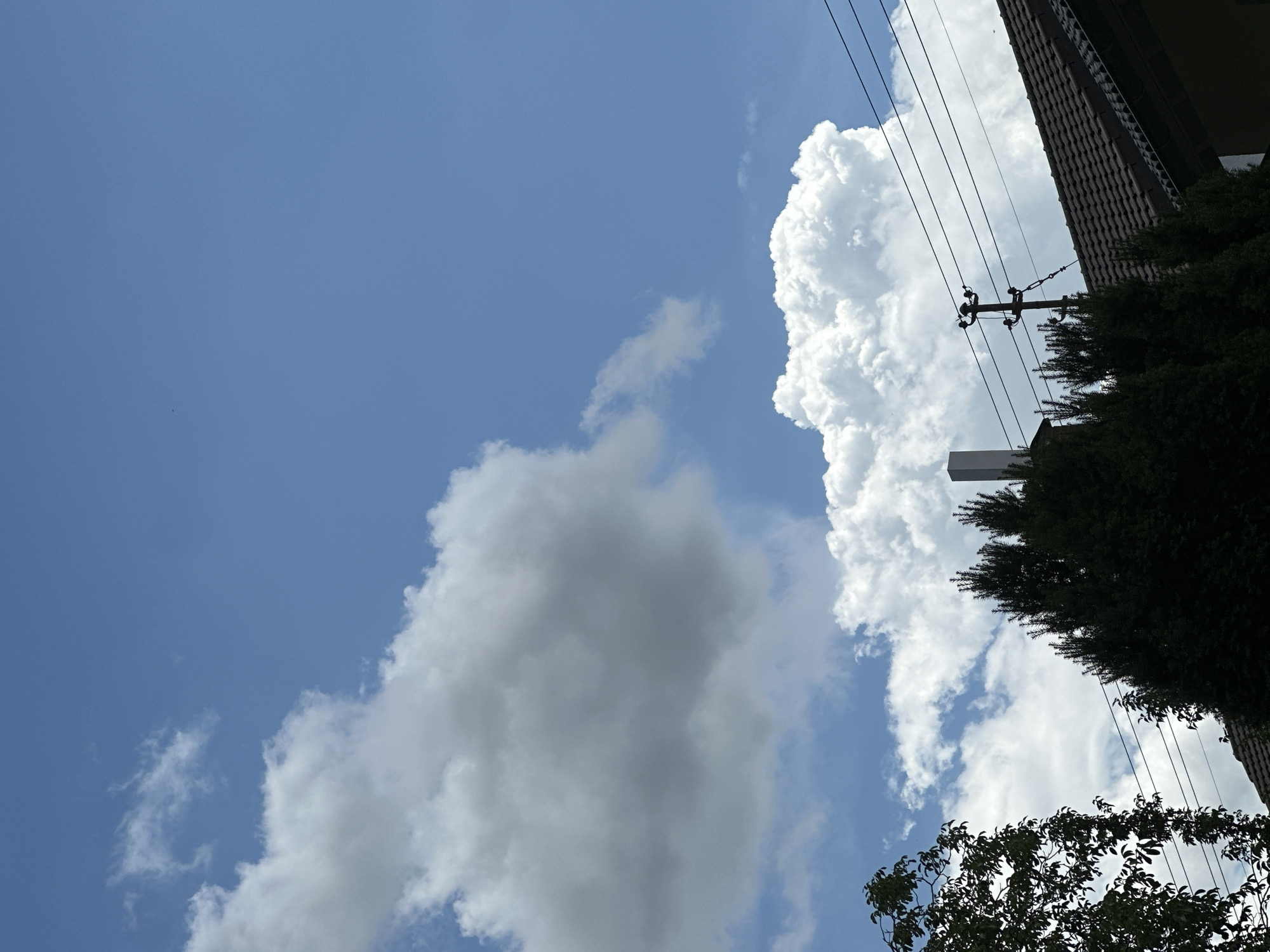 In the city of Günzburg, Germany, on a bright, clear day, the sky is filled with a mix of large, fluffy white clouds and wispy formations against a vibrant blue backdrop. The lower portion of the image features the dark silhouette of lush green trees and the tiled roof of a building. A power line pole with multiple wires stretches horizontally across the scene, adding a man-made element to the natural landscape. A white chimney protrudes from the roofline, contrasting with the dark foliage and tiles. The overall impression is one of a calm, sunny day, with the sky dominating the composition.