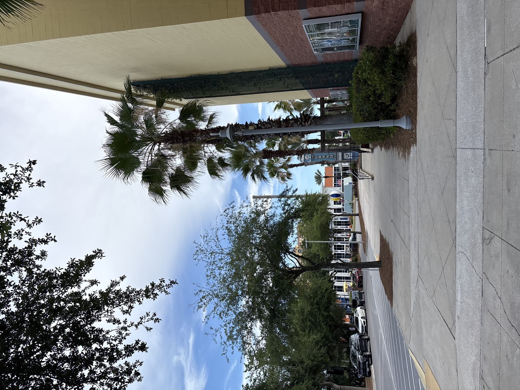 A street-level, eye-level, full shot captures a sidewalk and street scene in Panama City Beach, Florida, USA. The image is dominated by a large, yellow-and-red brick building on the right, with palm trees and other foliage in the foreground and midground. The building appears to be a commercial establishment, possibly a theater, indicated by movie posters displayed on its facade and a sign that partially reads "THE GRAND THEATRE."
In the midground, a sidewalk runs parallel to the street, lined with trees, including a prominent large oak tree on the left. Several cars are parked along the street, and a few people are visible walking on the sidewalk and near the buildings. The sky is partly cloudy, with patches of blue visible. The overall atmosphere suggests a bright, sunny day in a commercial district. The scene is well-lit, with clear shadows indicating the time of day is likely late morning or early afternoon. The composition is balanced, with the building on the right framing the street and sidewalk on the left.