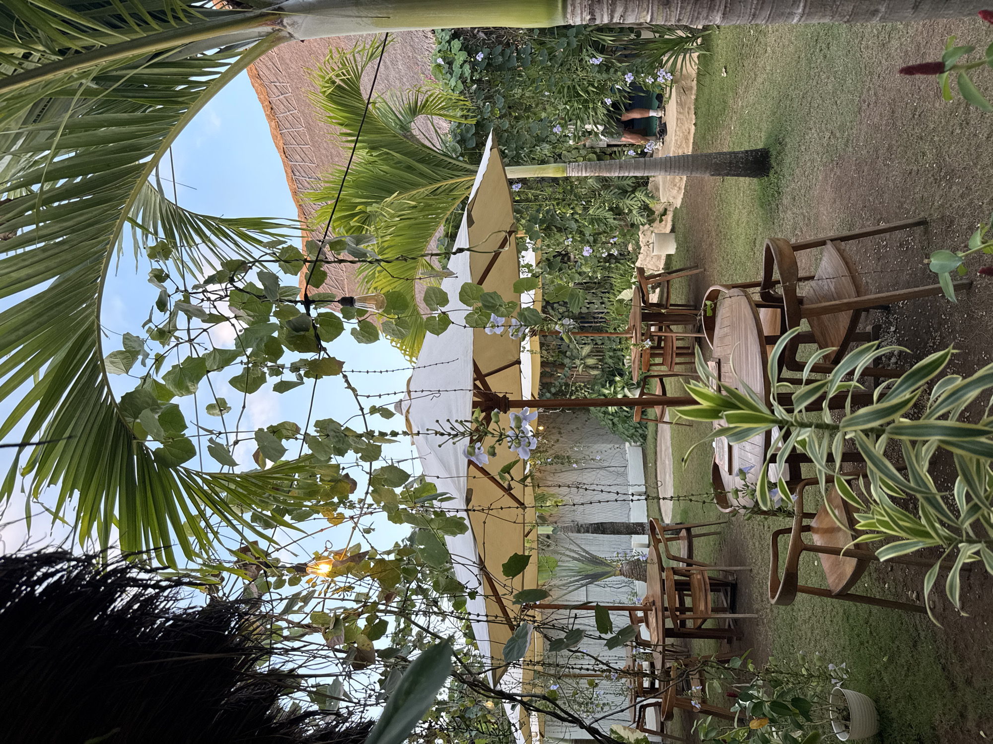 The image depicts an outdoor seating area of a restaurant or cafe, possibly located in Kuta Selatan, Indonesia, given the tropical vegetation and architecture. The scene is set during daytime, with the sky visible through palm fronds and vines. Several wooden tables and chairs are arranged on a grassy lawn, some partially covered by large, light-colored umbrellas. Green foliage and flowering vines cascade around the seating area, creating a lush, natural ambiance. In the background, a building with a thatched roof is visible, suggesting a tropical or resort-style establishment. A person's legs, wearing shorts and white socks, are visible in the far right background, standing near a palm tree. The overall atmosphere is tranquil and inviting, emphasizing an outdoor dining experience amidst nature.