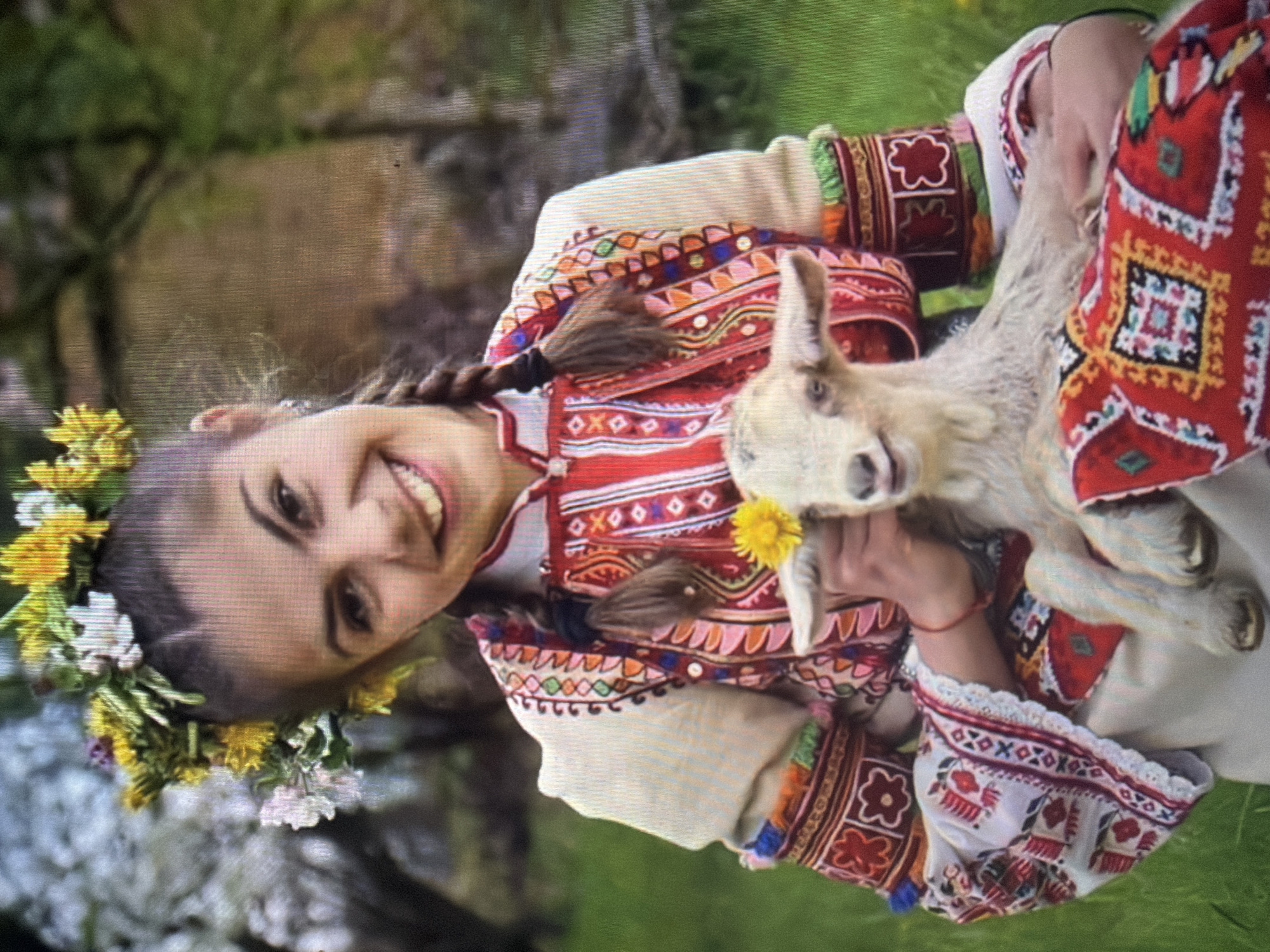 This full-frame portrait photograph depicts a young woman holding a baby goat outdoors in the city of Shumen, Bulgaria. The woman, positioned centrally, has dark hair styled in two braids and wears a multi-colored flower crown primarily composed of yellow dandelions and some white and purple blossoms. She smiles broadly towards the camera, revealing her teeth. She is dressed in traditional folk attire, featuring a cream-colored long-sleeved garment with extensive, colorful geometric and floral embroidery in red, orange, pink, green, blue, and black across the sleeves and central front panel. A red woven textile with geometric patterns in various colors is draped across her lap, partially covering her lower body and supporting the animal.
The baby goat, light-colored with short horns visible, is held in the woman's arms. It is looking towards the camera and has a single yellow dandelion flower held in its mouth. The woman's right hand is visible, positioned near the goat's head, appearing to present or assist with the flower.
The background is an out-of-focus natural environment, displaying blurred green grass and trees, indicative of a daytime outdoor setting.