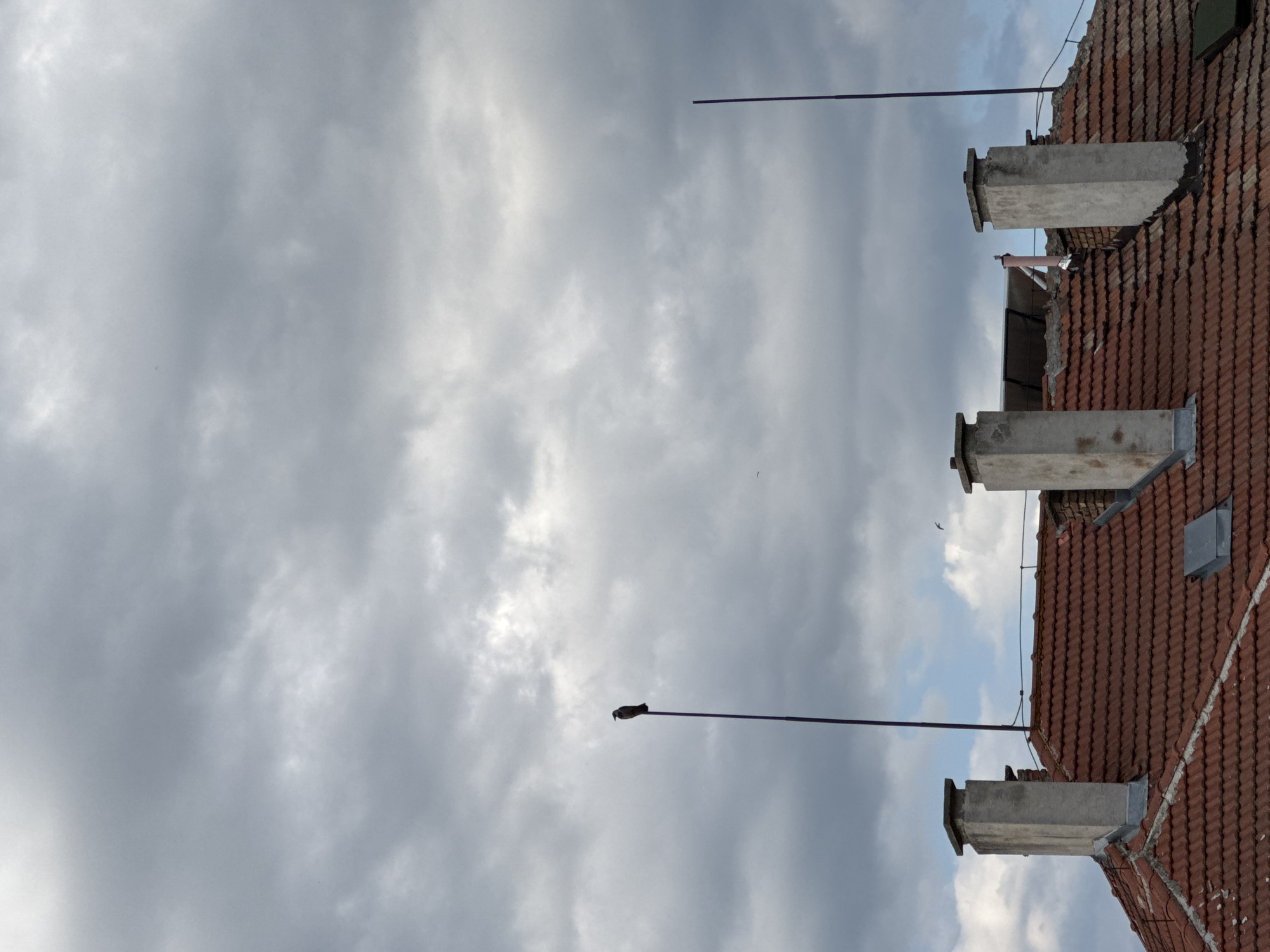 The image shows a close-up view of a tiled rooftop with several chimneys. A single bird is perched on a tall, thin purple pole in front of a cloudy sky. In the background, solar panels are visible on the roof. The scene appears to be in Kazanlak, Bulgaria, though no specific landmarks or indicators of this location are present within the frame.