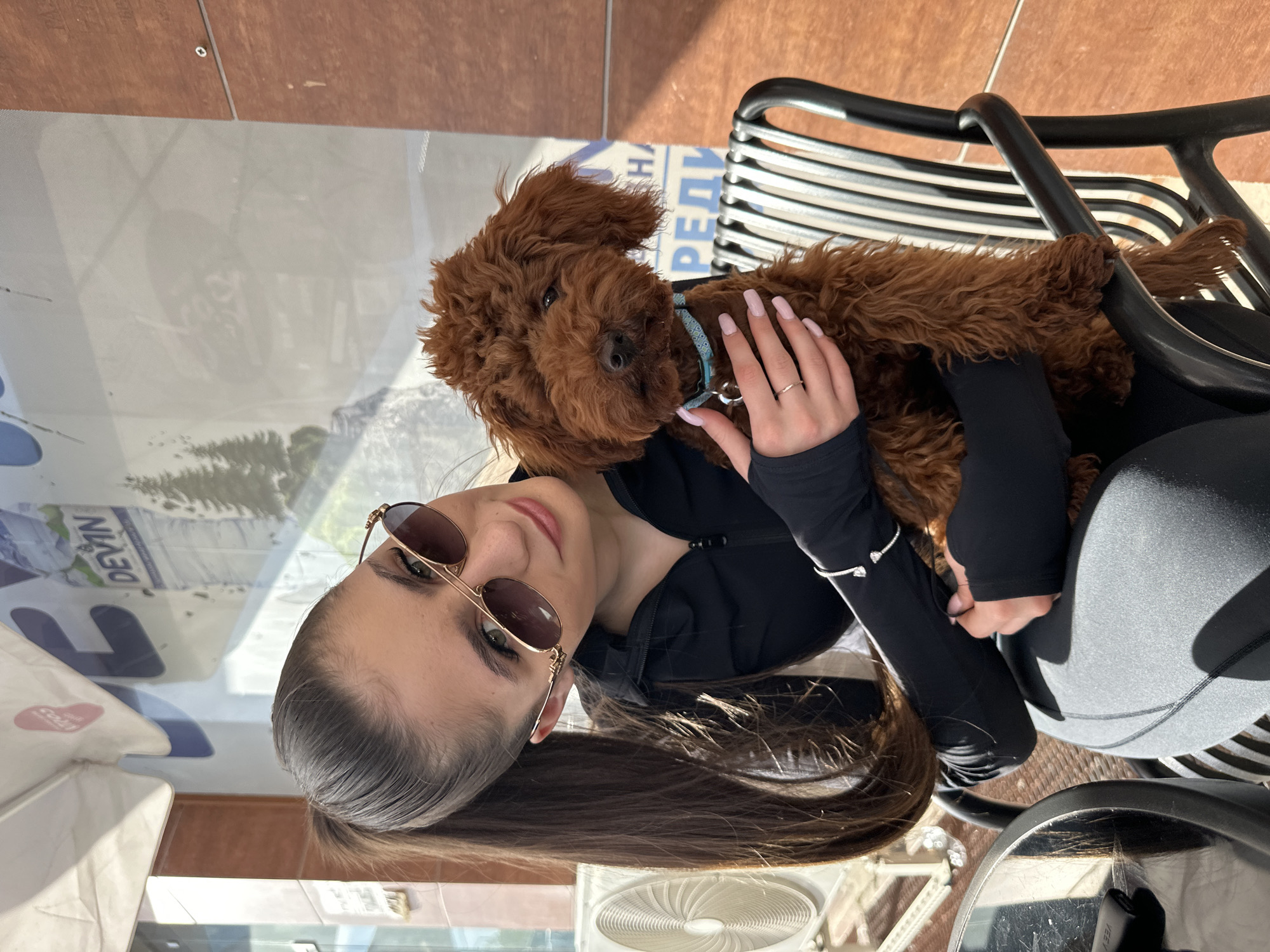 A young woman with long, dark hair, wearing sunglasses and a black long-sleeved top, is seated outdoors or in a semi-enclosed patio setting. She is holding a small, fluffy brown dog, which has a light blue collar. The woman has light pink nail polish and a ring on her finger, and she is gently petting the dog. Both the woman, with a slight smile, and the dog are looking towards the camera.
The background includes black slatted chairs and a brown tiled floor. Bright sunlight illuminates the scene, casting strong reflections onto a glass surface, likely a table or window. These reflections reveal greenery, possibly trees or bushes, suggesting an outdoor view.
Visible in the reflections on the glass are fragments of Cyrillic text from a sign or poster, including the brand name "DEVIN" and partial words like "ПРЕДИ" (meaning "before" or "front") and "НА" (meaning "on" or "to"). A white package with a red heart logo is also reflected. On the table, a black portable electronic device, possibly branded "VEE," is visible, and a white fan sits on the ground. The atmosphere appears relaxed and pleasant, suggesting a cafe or outdoor dining area in Plovdiv, Bulgaria.