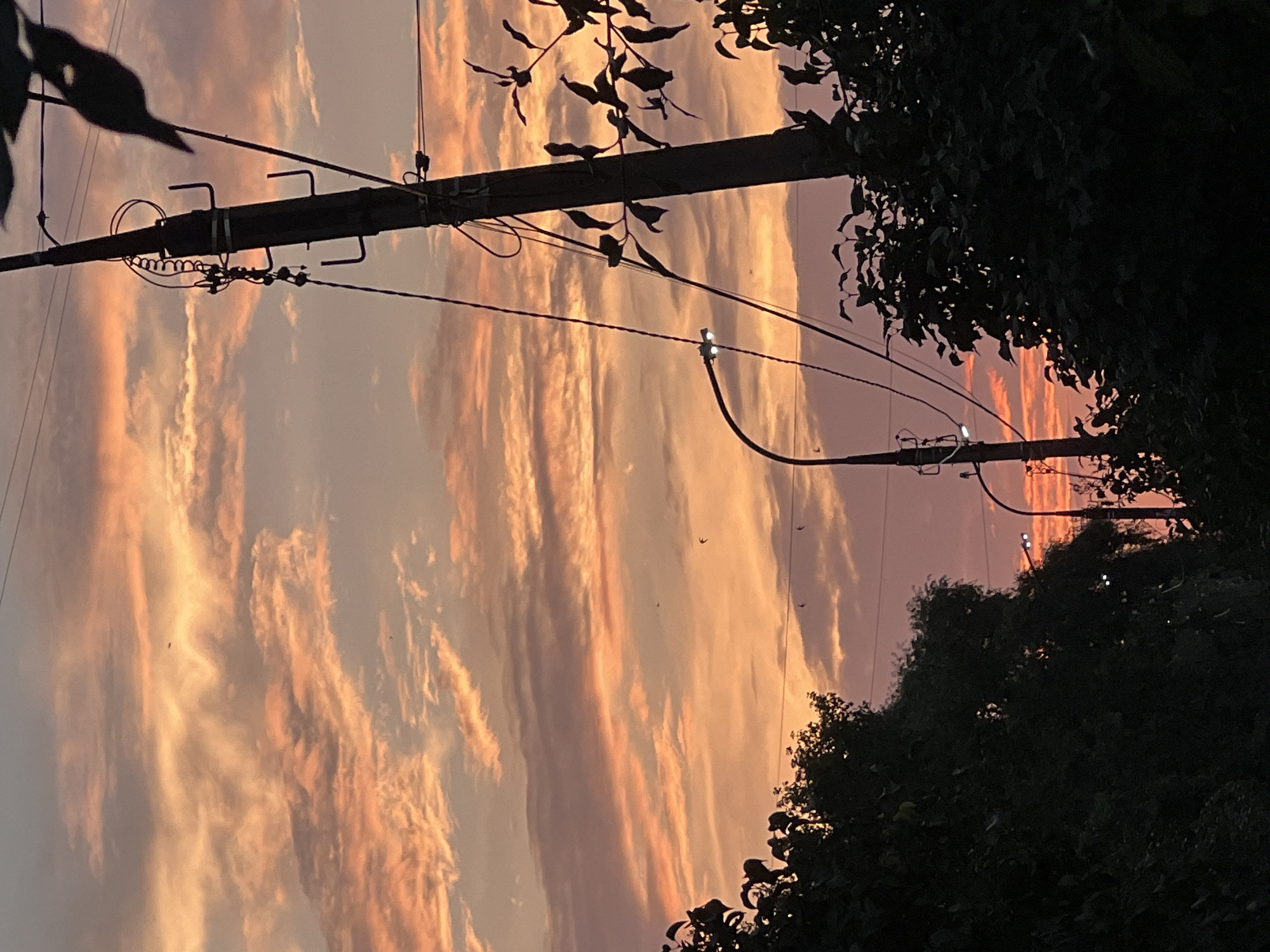 The image shows a sunset with orange and pink clouds, viewed from a street with trees and utility poles. The sky is filled with textured clouds in various shades of orange, pink, and purple, with some silhouetted birds visible. On the right side of the frame, a dark utility pole with electrical wires and a coiled cable is prominent. To the left of the pole, a street lamp with two lit bulbs is visible. Silhouetted trees line the bottom and left edges of the image, obscuring much of the ground and lower structures. The overall scene suggests an urban or suburban environment in Chaikovsky, Russia, during twilight.